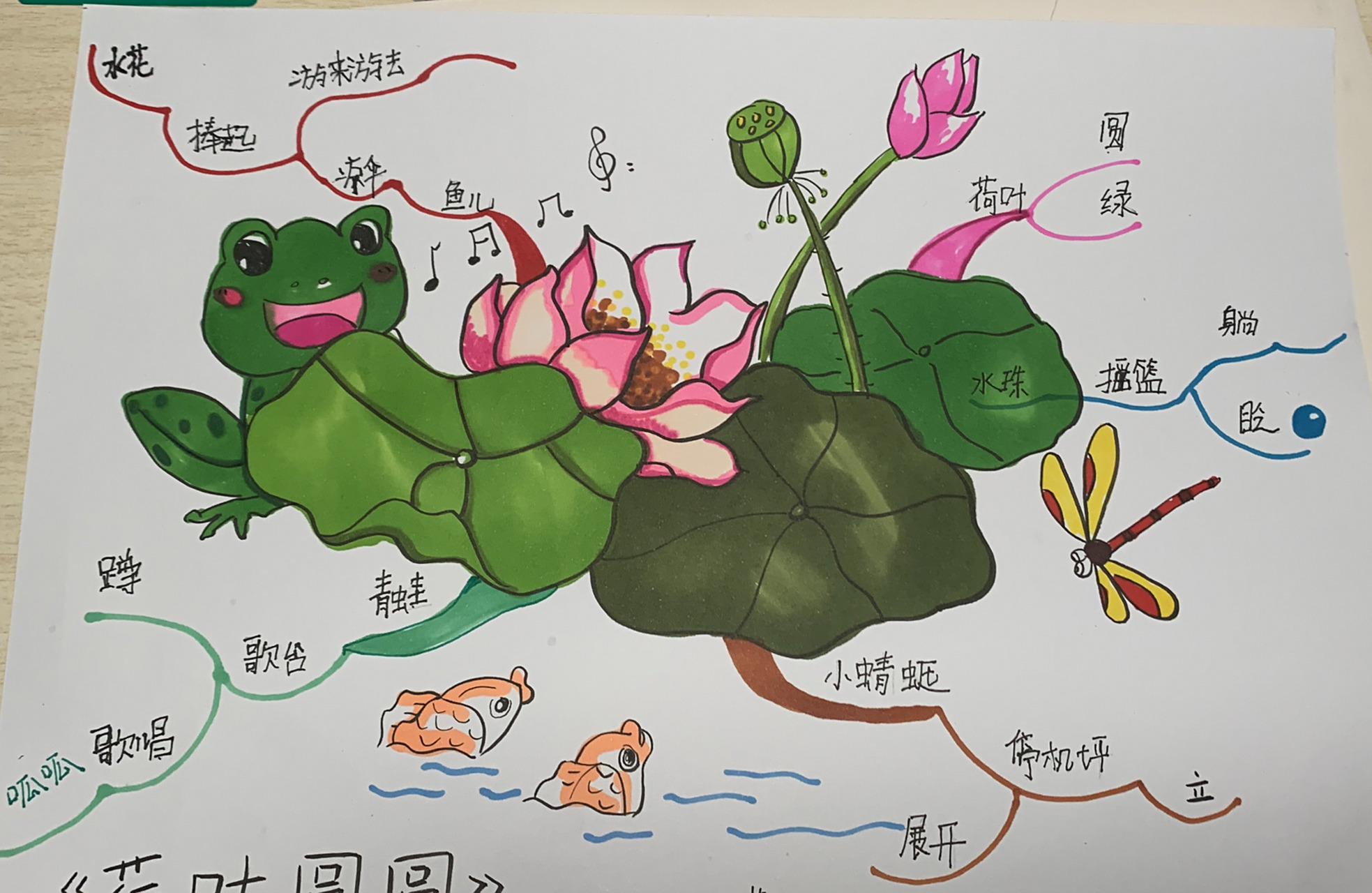 一年级 语文 荷叶圆圆 思维导图 简笔画 一年级语文下册