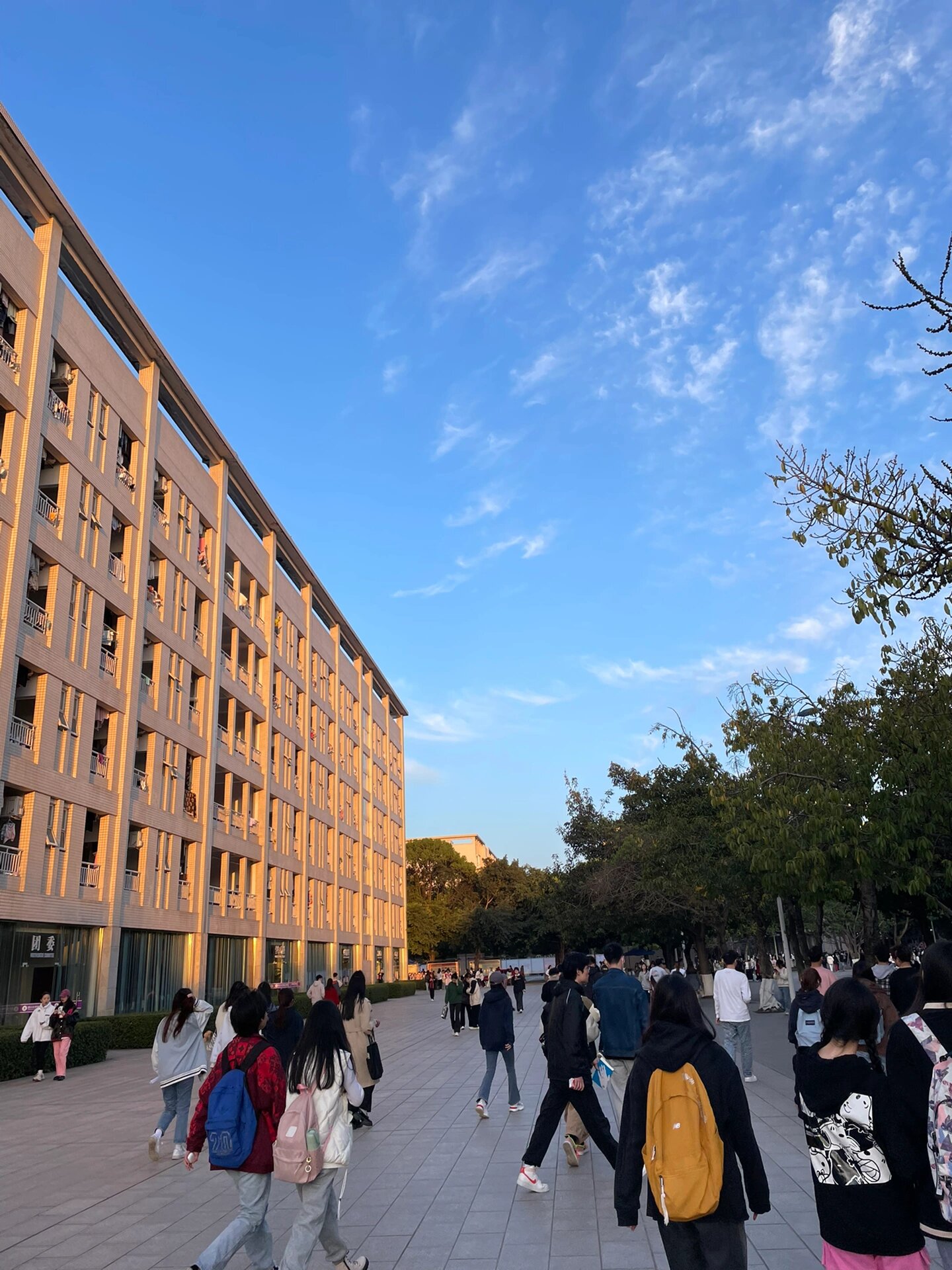 四川大学锦江学院风景图片