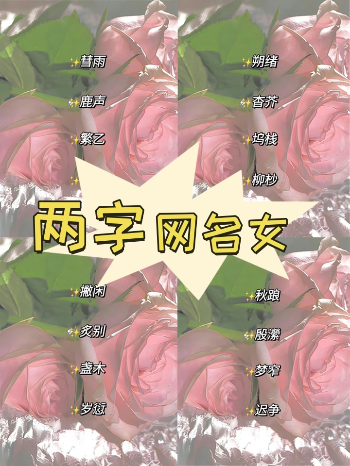 两字网名女