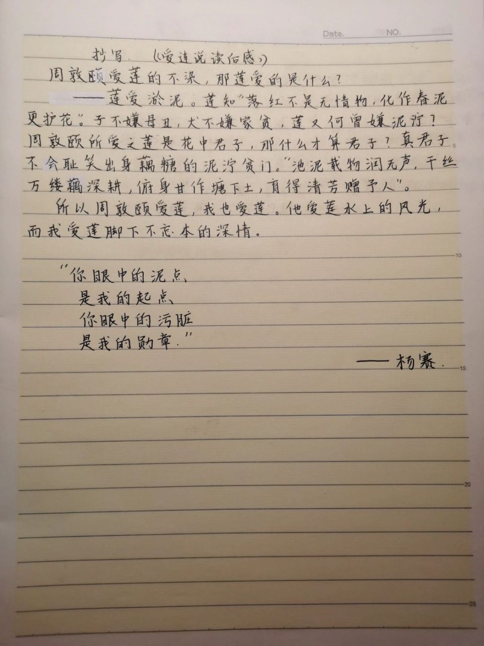 杨赛—爱莲说读后感 "所以周敦颐爱莲我也爱莲,他爱莲水上的风光,而我