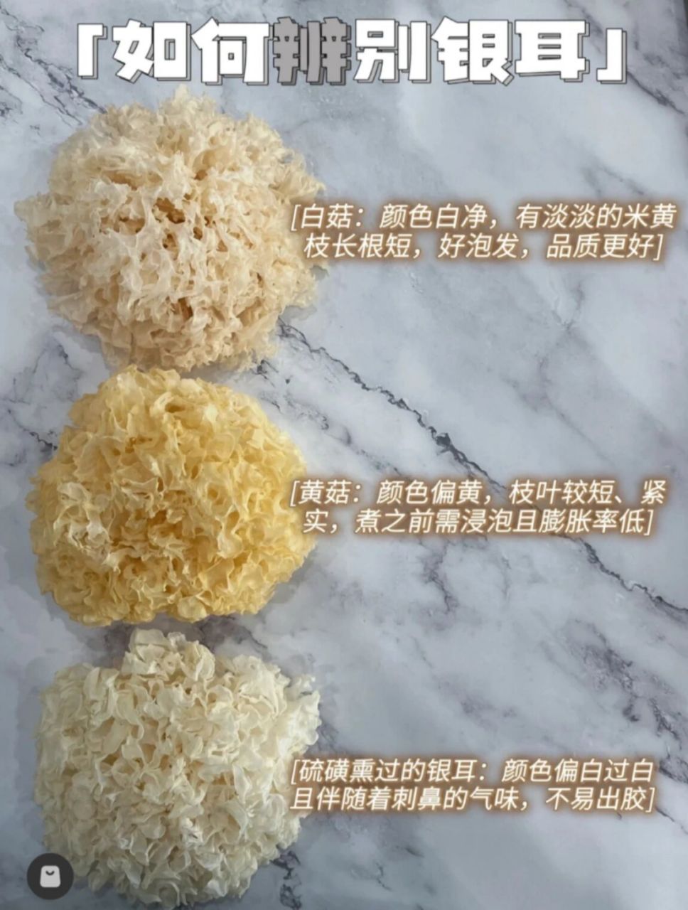 如果辨别银耳好坏 一个长在银耳之都的姑娘教你们如何辨别银耳好坏