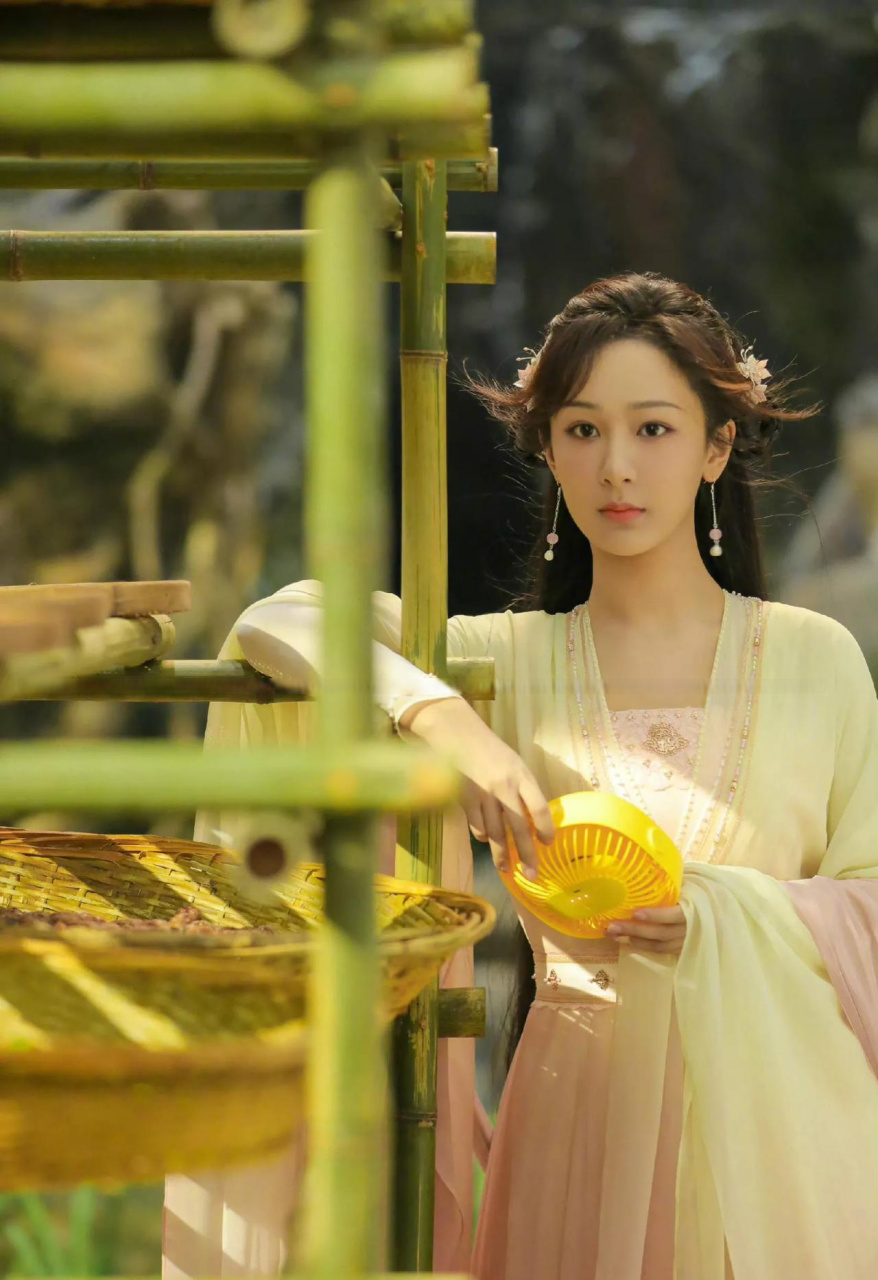 杨紫主演电视剧猫眼评分和播放量总汇: 2022年《沉香如屑·沉香重华