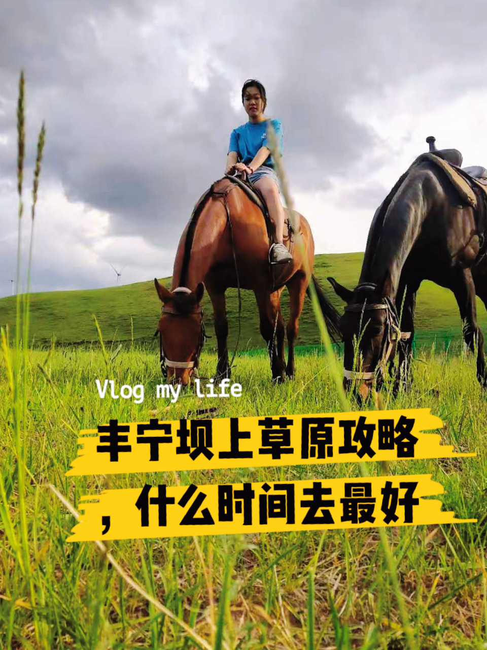 丰宁坝上草原攻略,什么时间去最好.