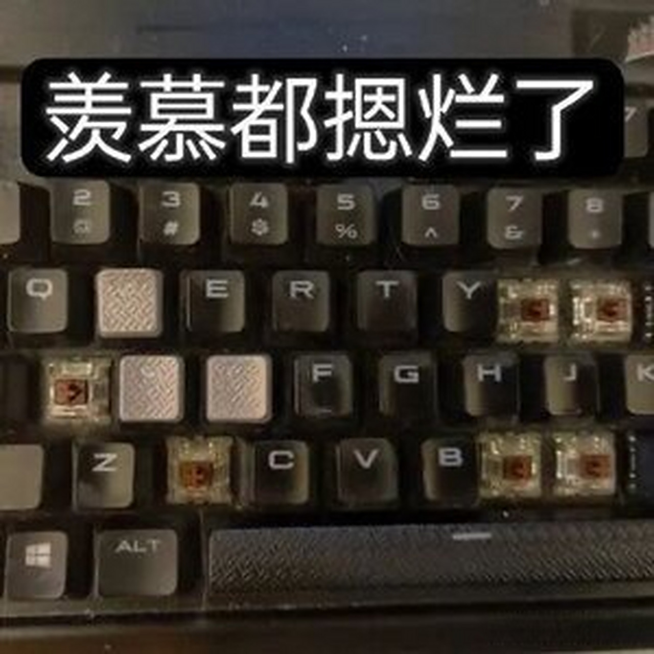 友商羡慕的估计键盘都快摁烂了～  放眼整个市场行业都处于退缩的