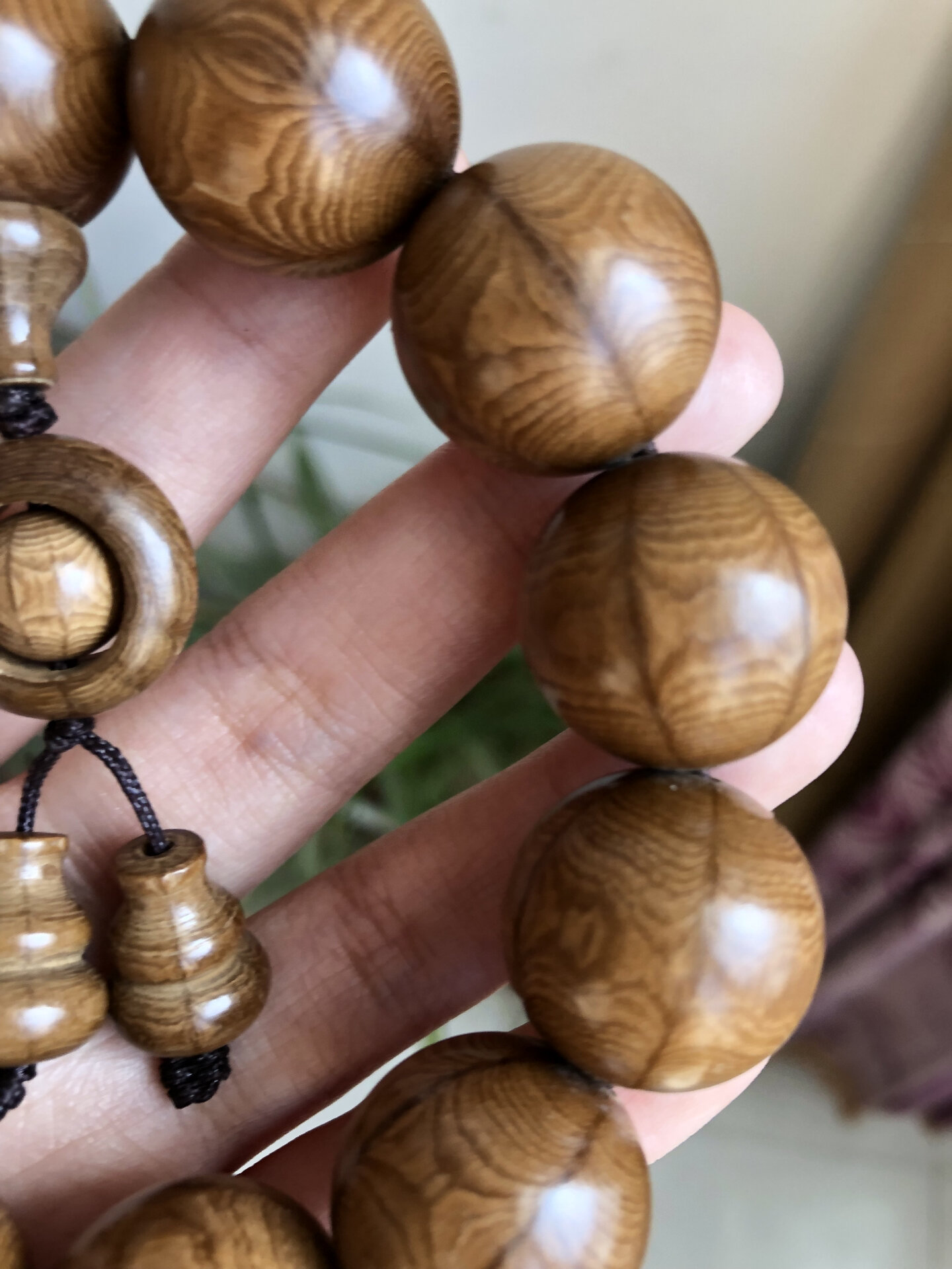 佛教圣地五台山之六道木降龙木