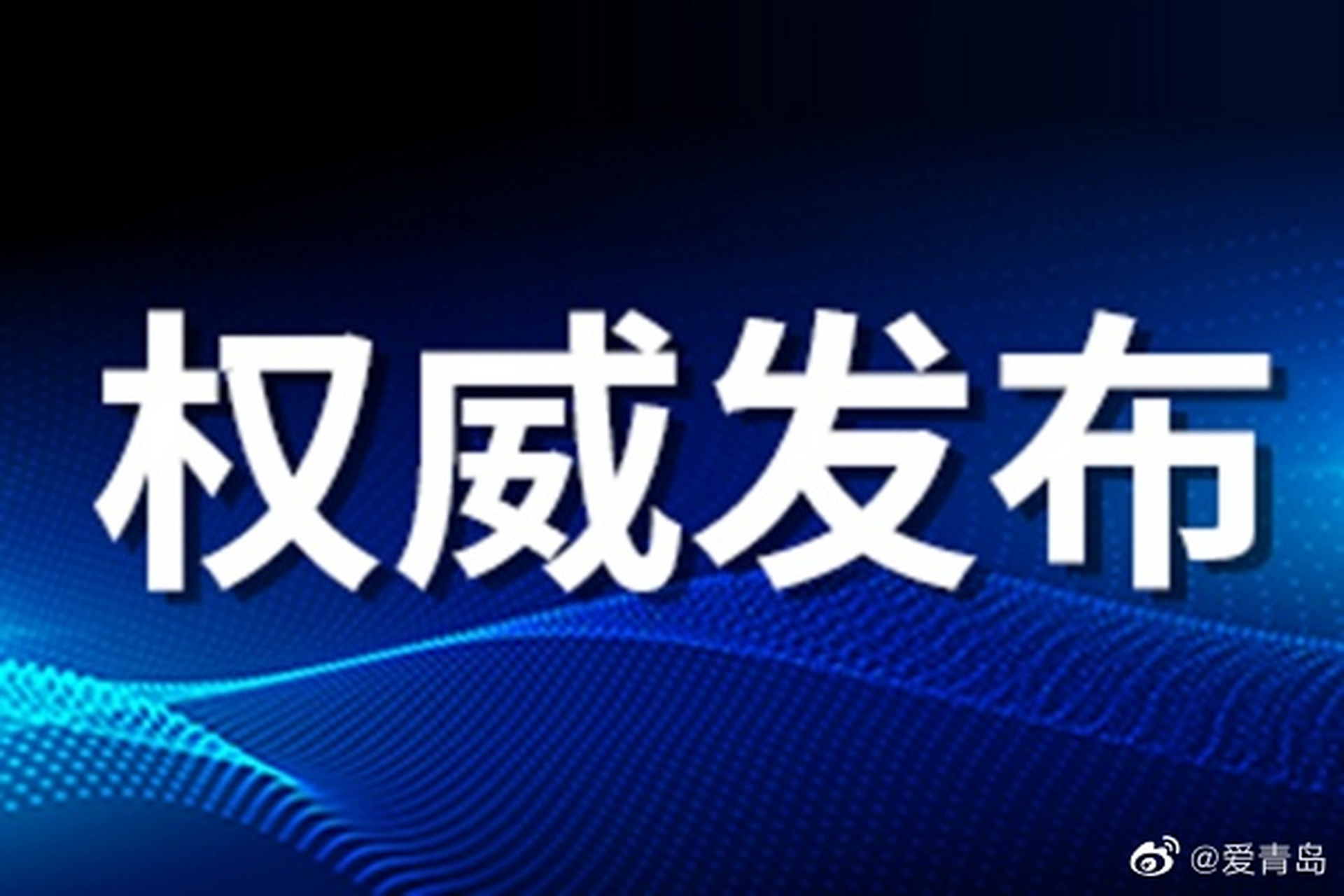 青岛市公安局经济犯罪侦查支队二大队副大队长丛雅琳接受审查调查