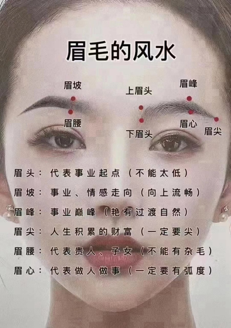 女人眉毛的风水图片