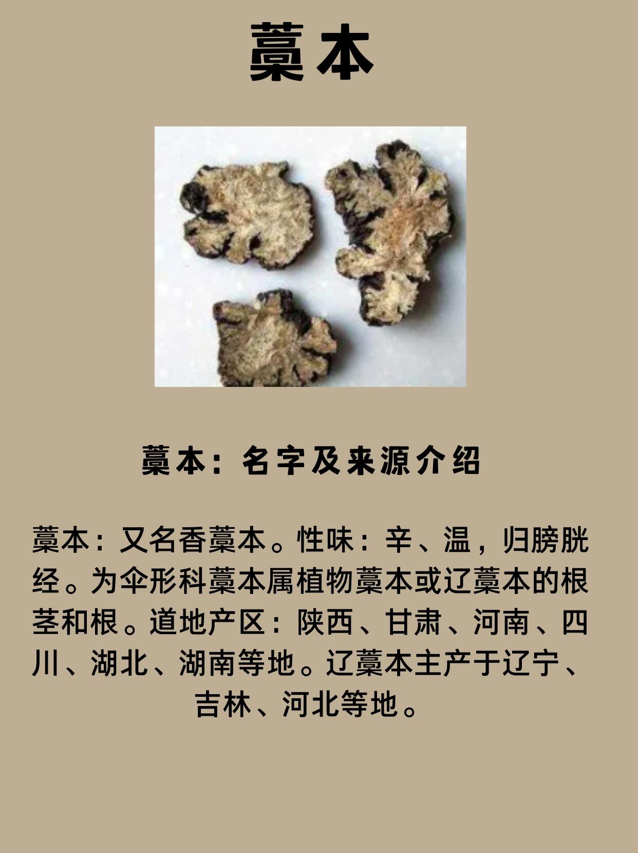 中草药之藁本 藁本来咯!快来了解了解吧!