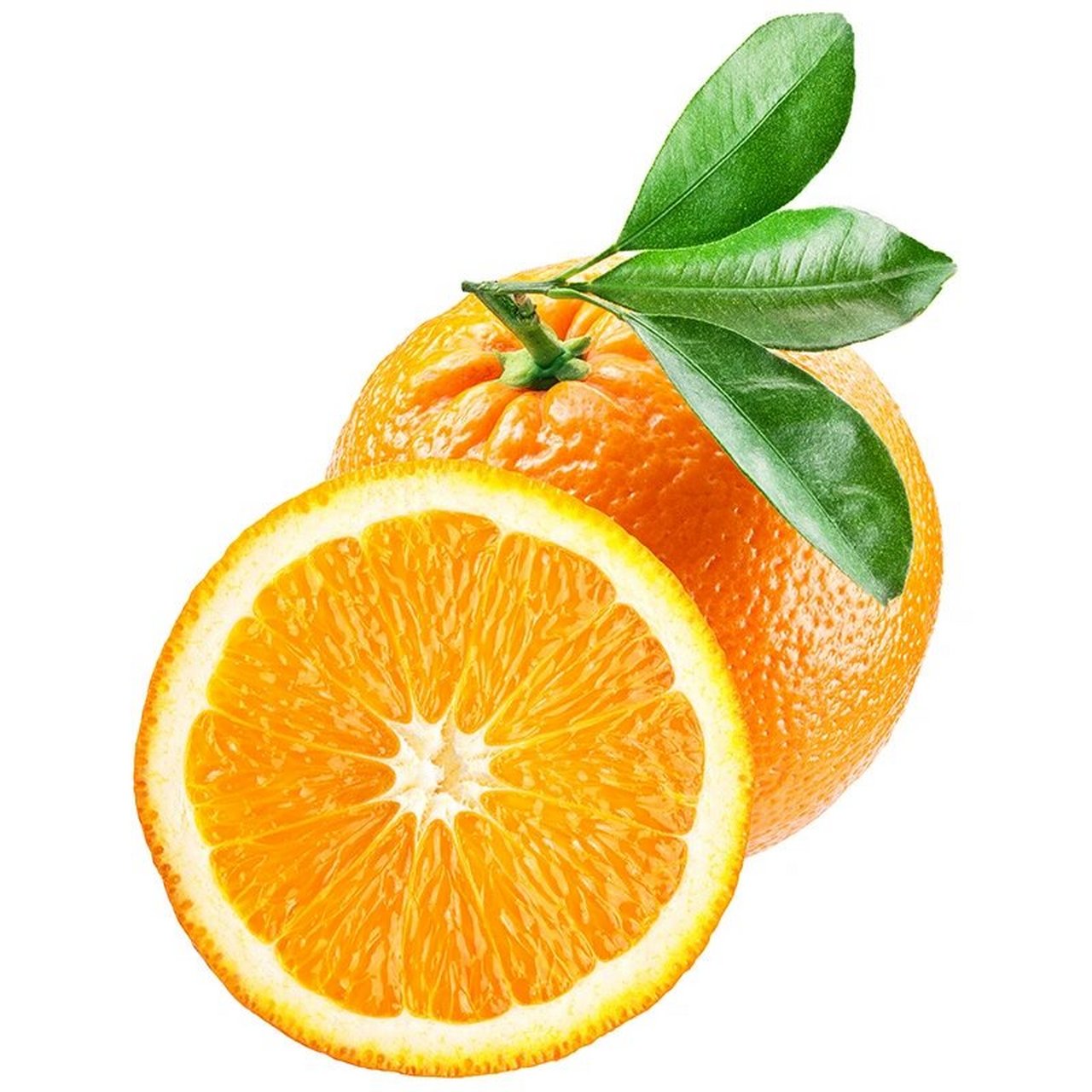 赣南脐橙(附线稿,笔刷,参考图) 冬季最好吃的应季水果当属橙子莫属