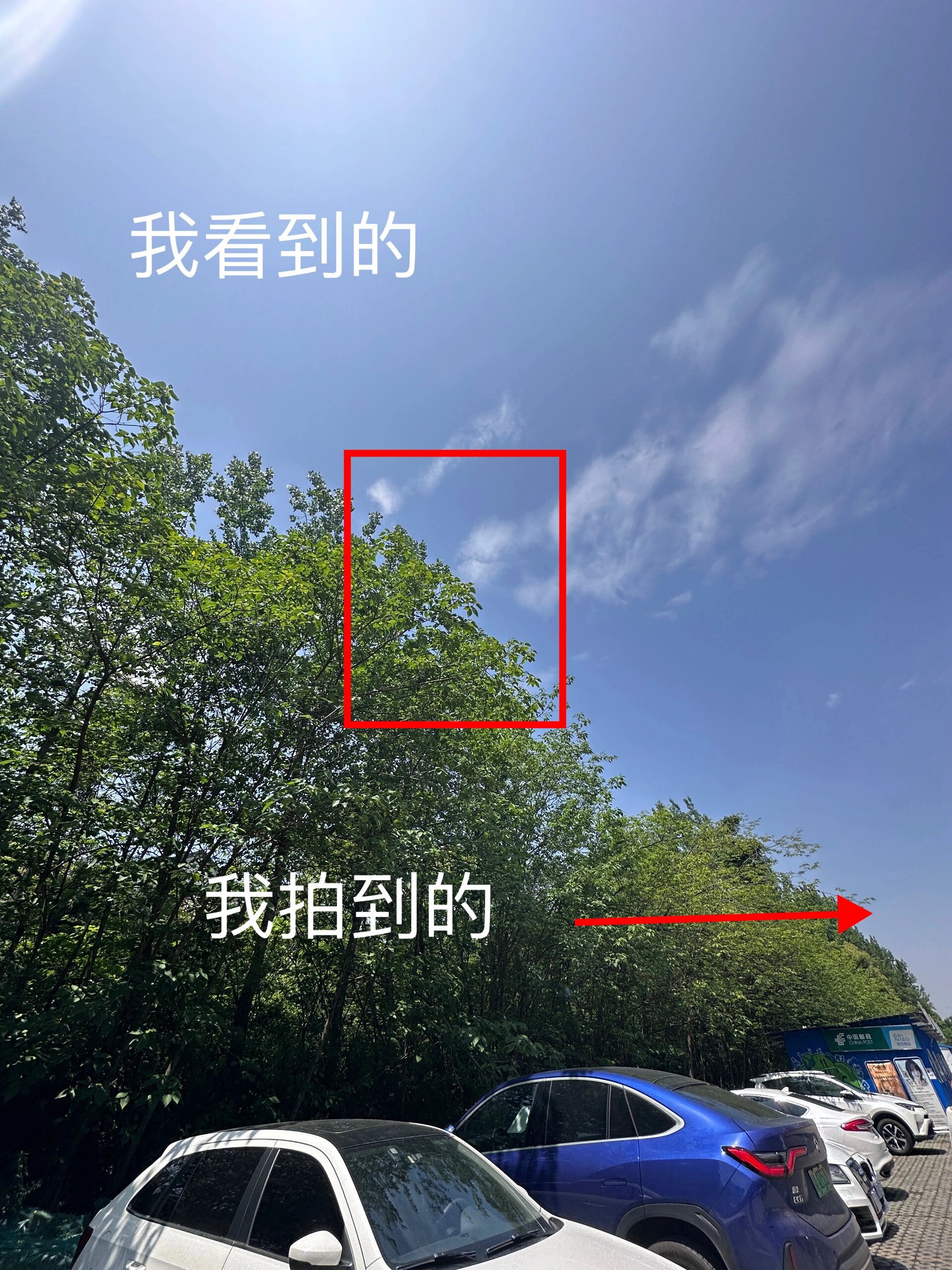 教你学会拍校园风景|细节发现美