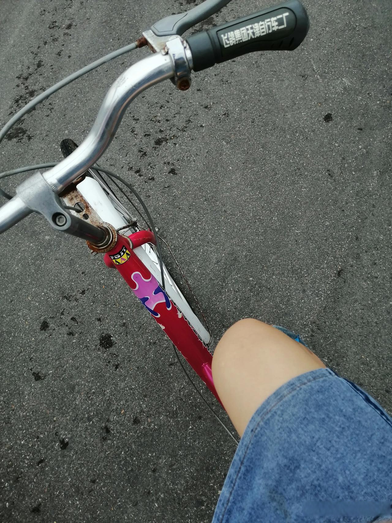 坤车骑出这速度是不是也很可以了  女士自行车被称为"坤车"的原因是