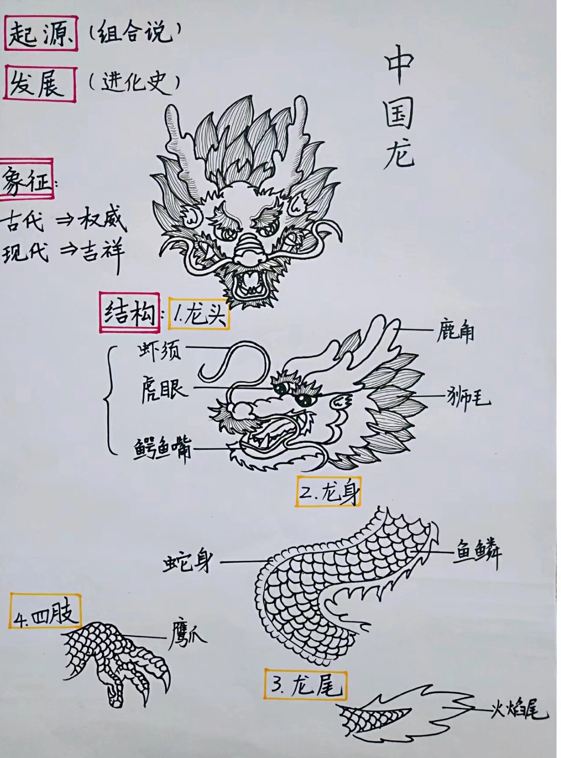 板书中国龙设计 线描画