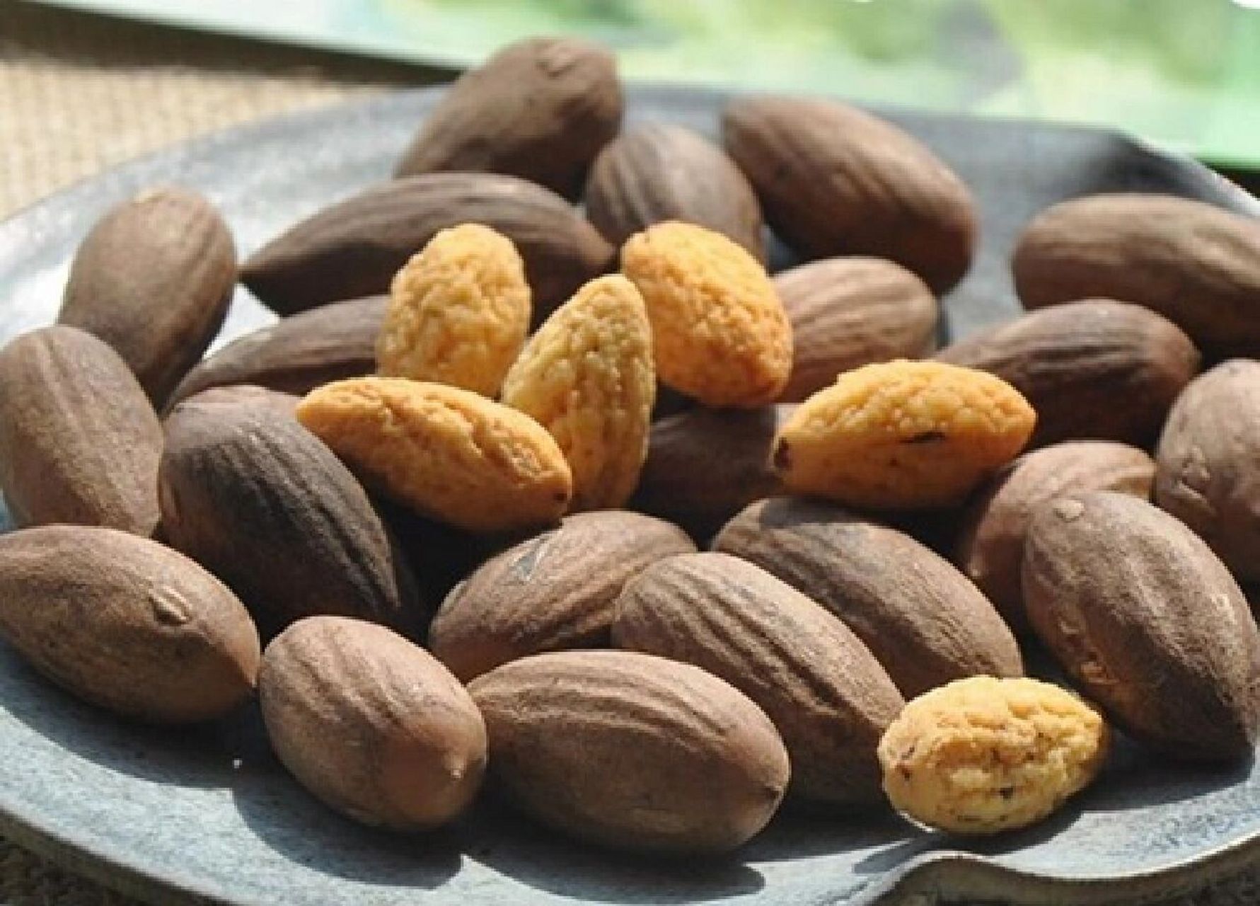 大山里深处的坚果——香榧!