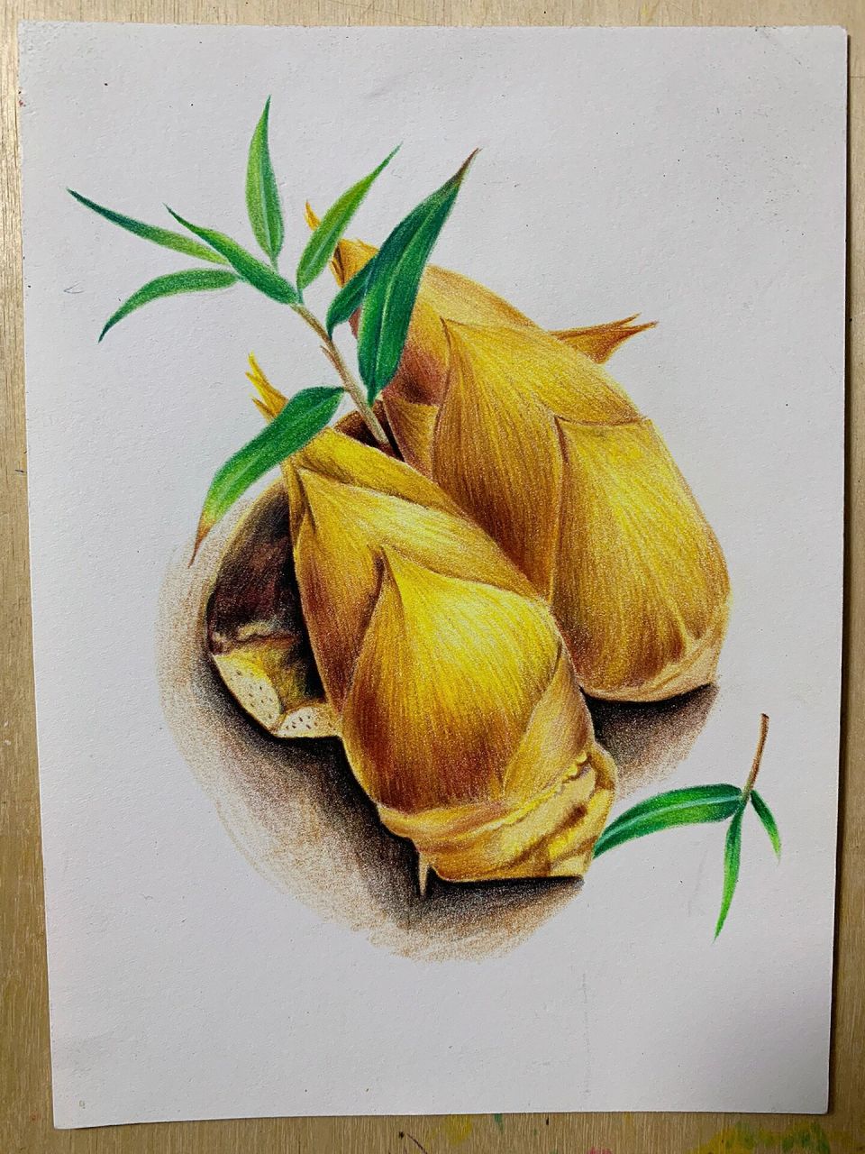 彩铅竹笋(附过程图)       纸:获多福32k 190g