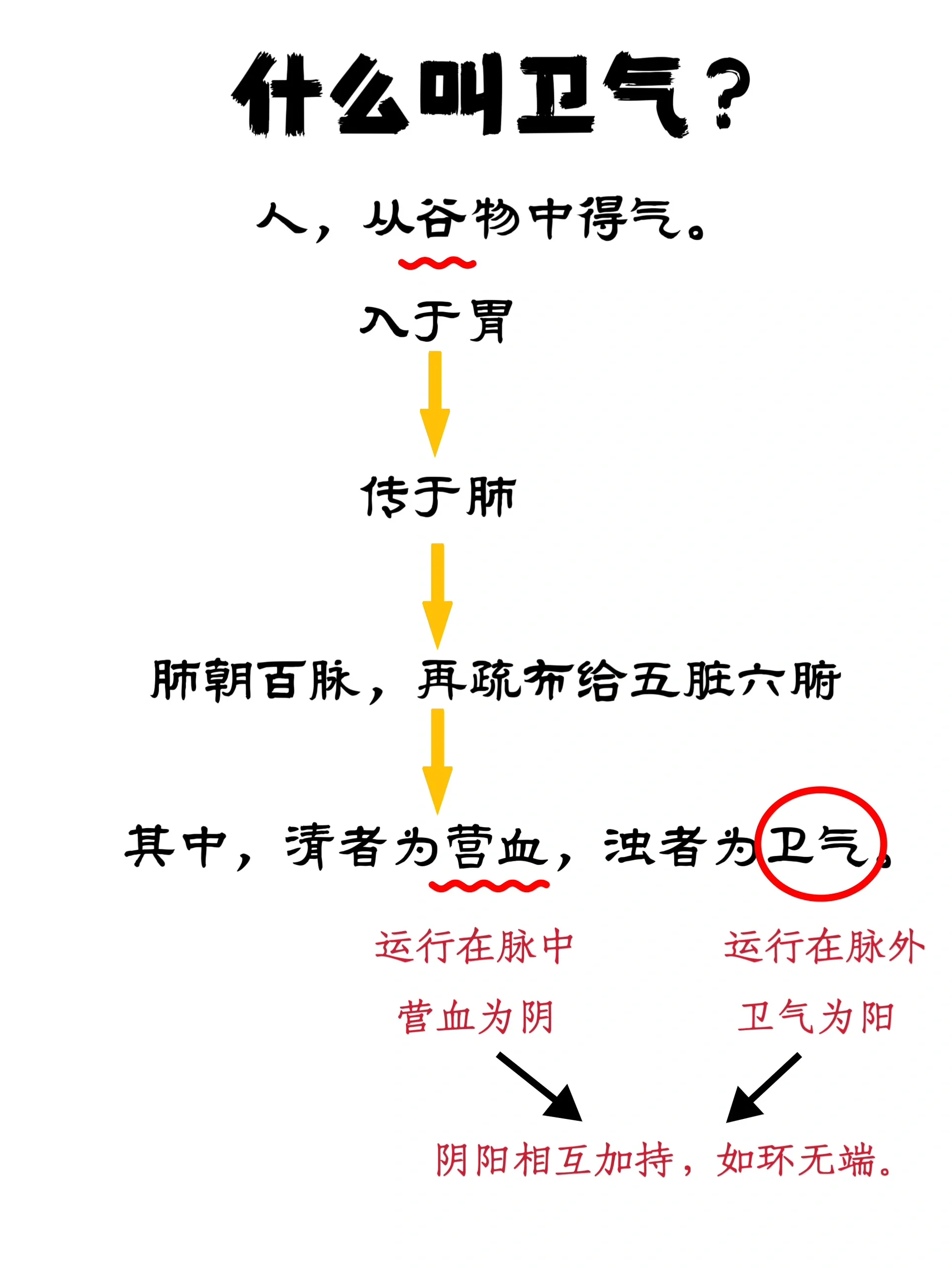 《黄帝内经》讲"卫气"