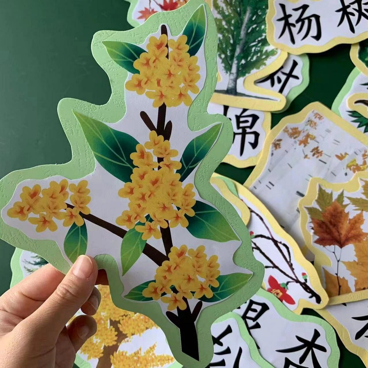 树之歌公开课教具板贴分享