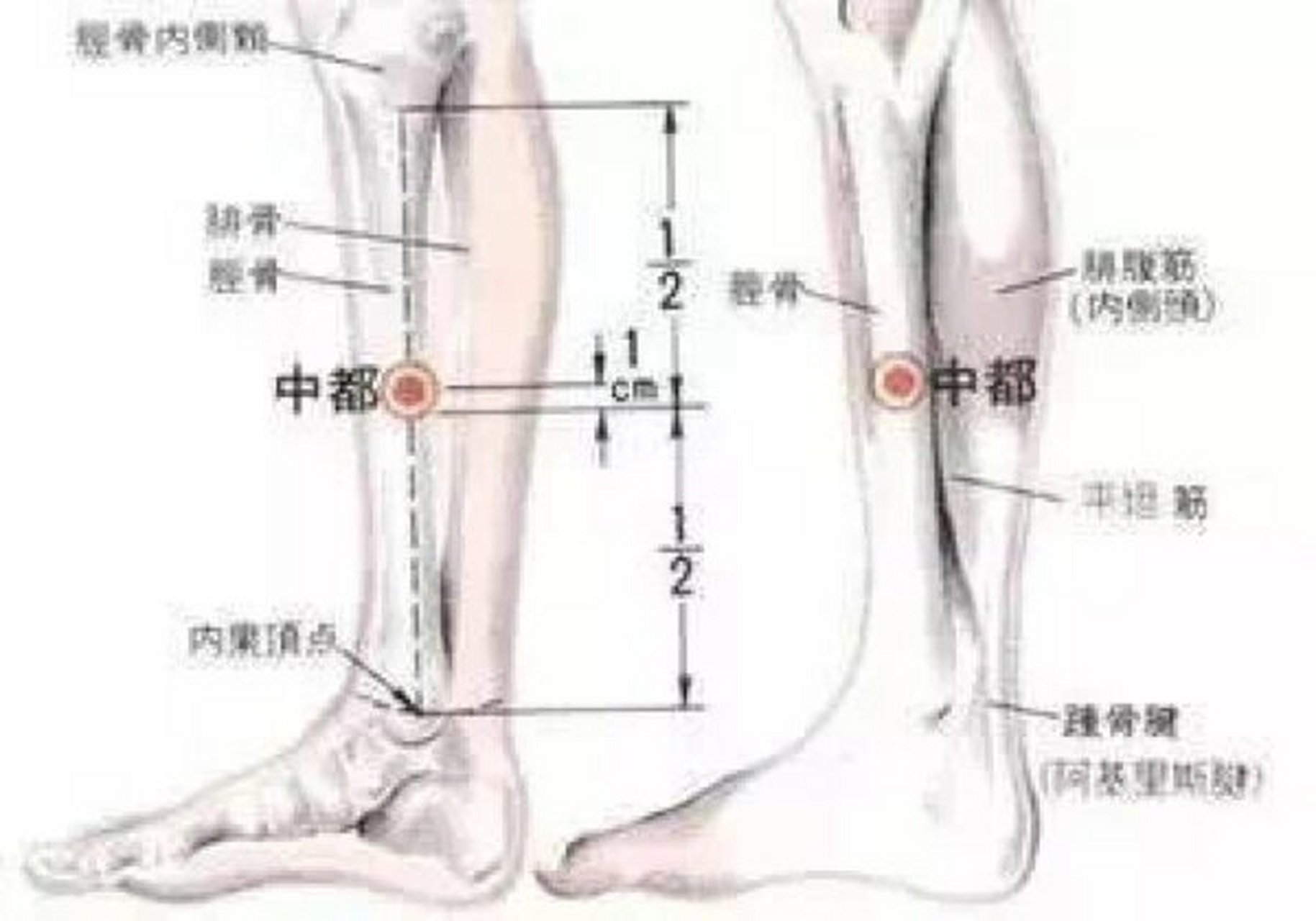 中都的准确位置图图解图片