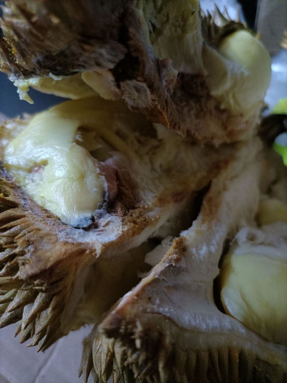 榴莲坏了能退嘛 在苏铂超市买的榴莲有一面坏了,一面没坏,这能退吗