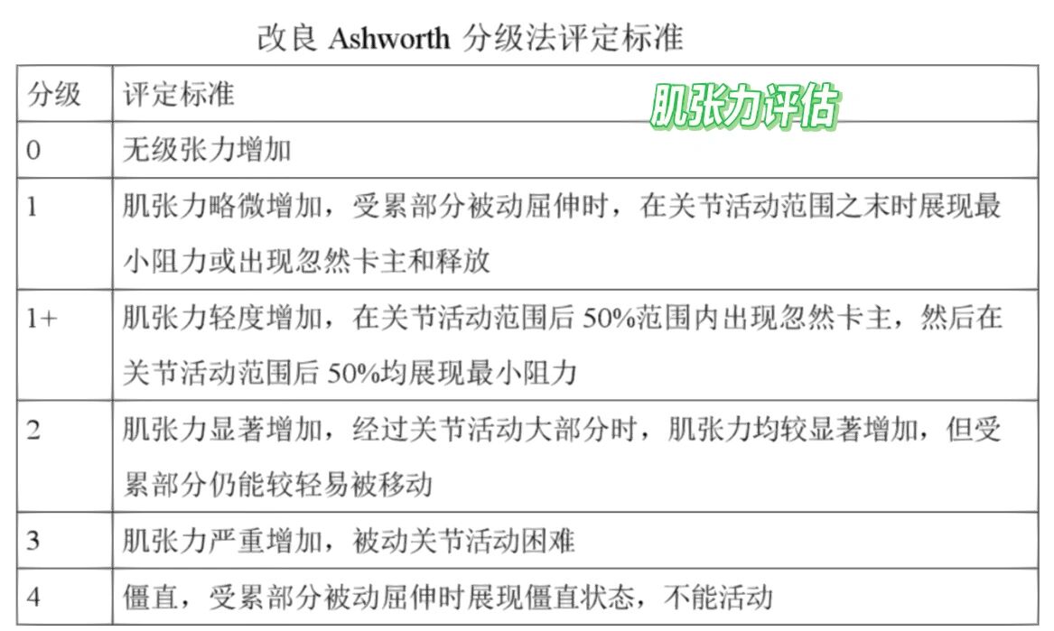肌张力评估量表:改良ashworth量表