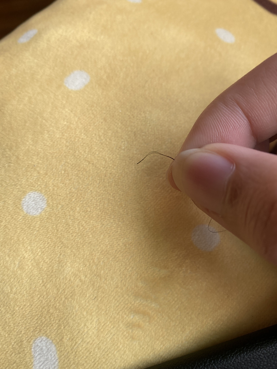 一个毛囊长出的两根孱弱头发丝儿 哈哈又细又长,营养不良,活像体弱多