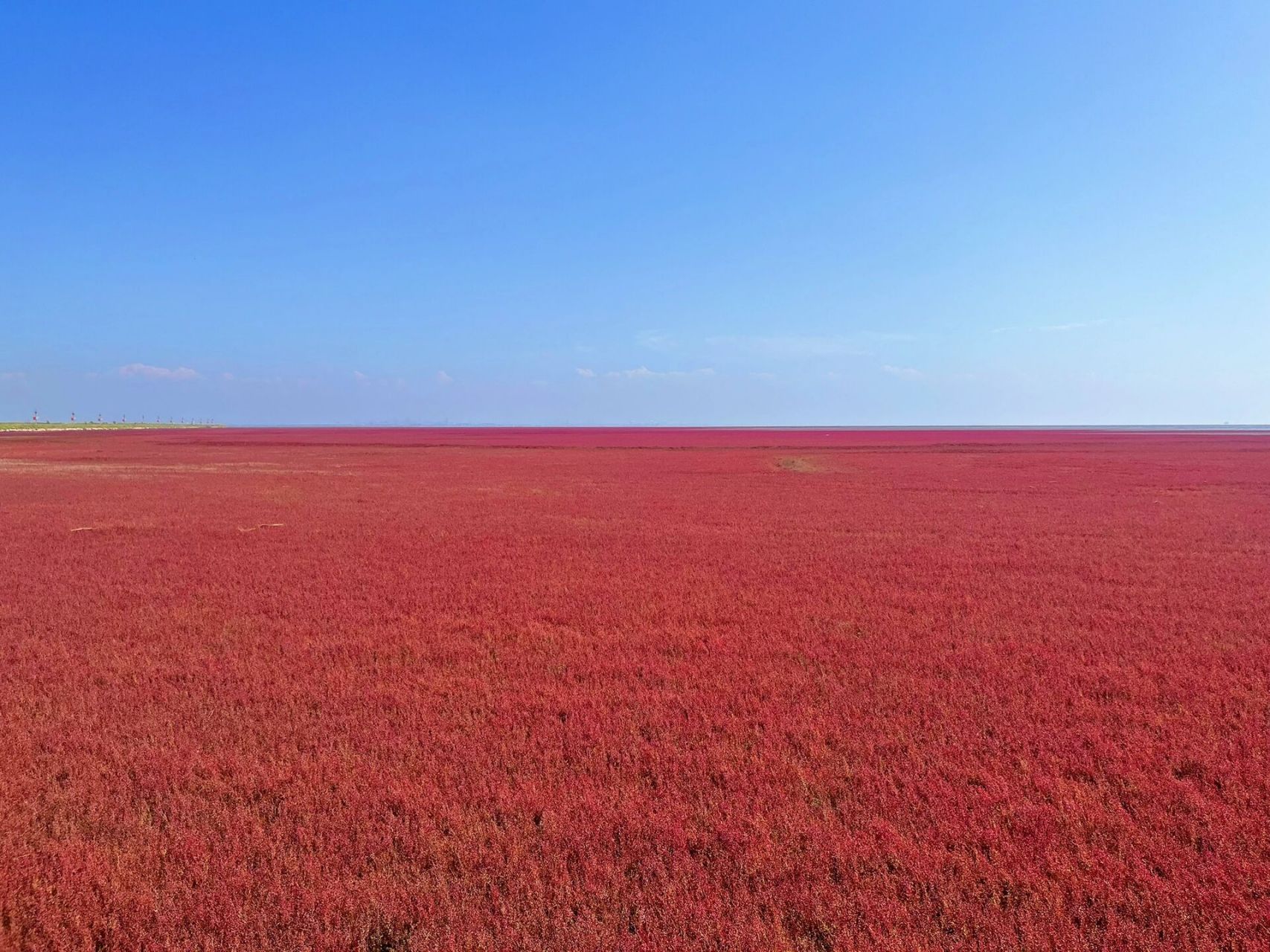 盤錦紅海灘風景區 門票:在公眾號