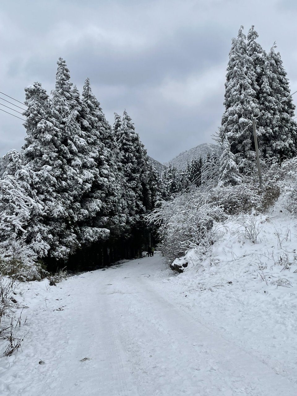 2016重庆主城下雪图片