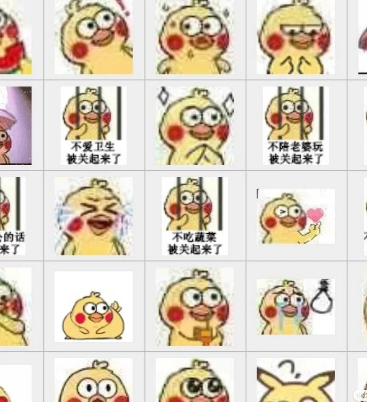 小黄鸡动图表情包