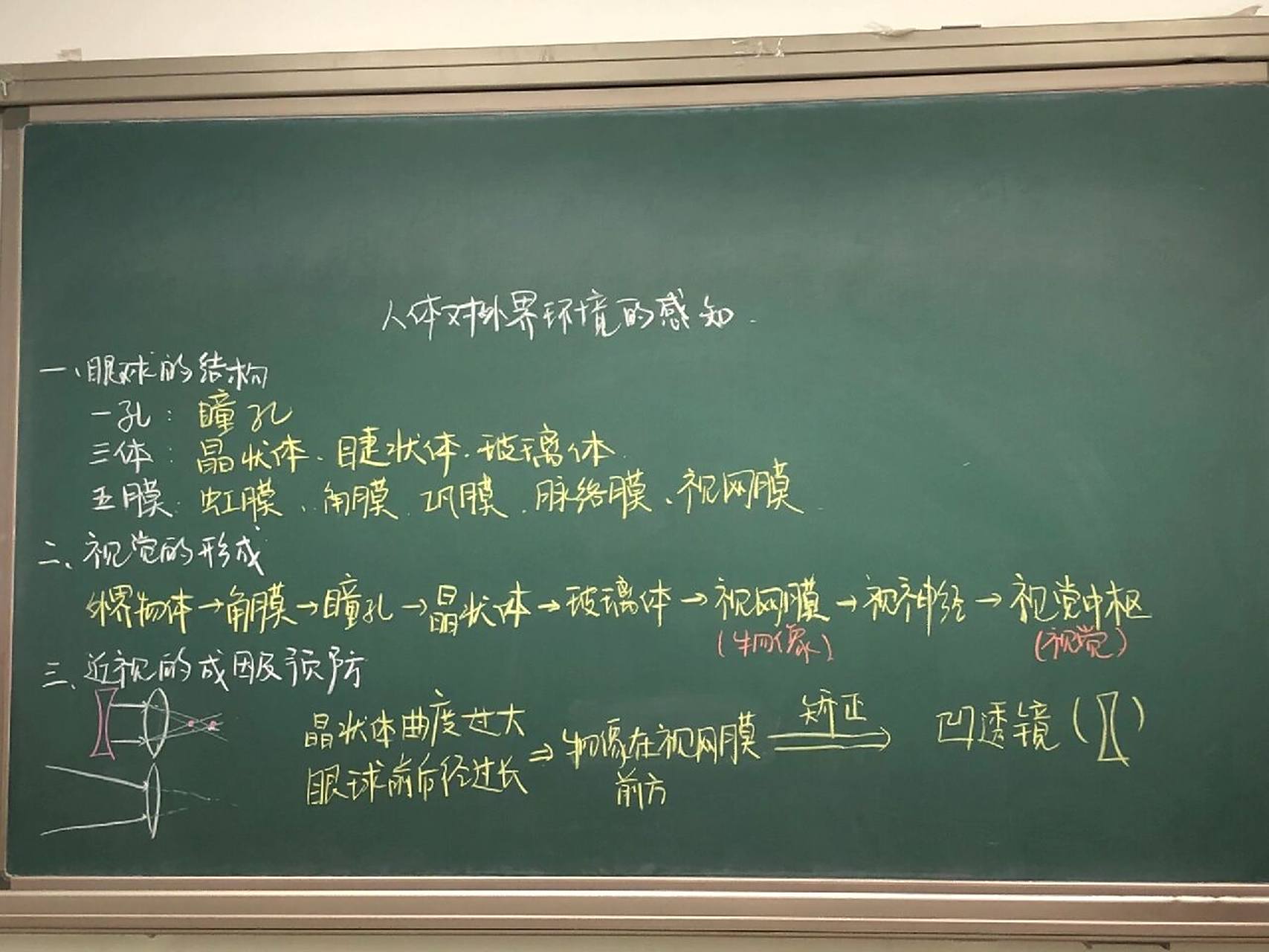 板书设计——人体对外界环境的感知(眼和视觉) 期中考试后首更,姐妹们