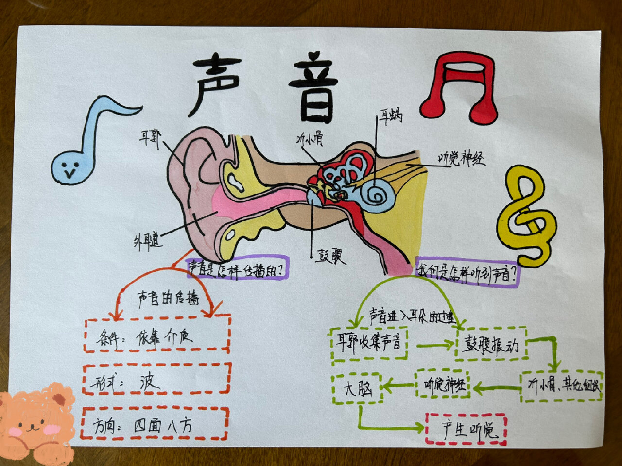 四上科学 声音 思维导图@一只奇趣灯泡的动态