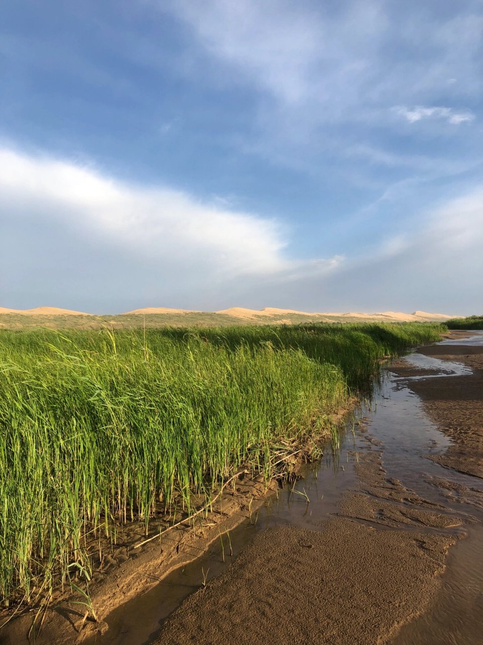 龙头拐沙漠 包头,龙头拐的一片沙漠,地图上看是沙漠的边缘爬上高坡就