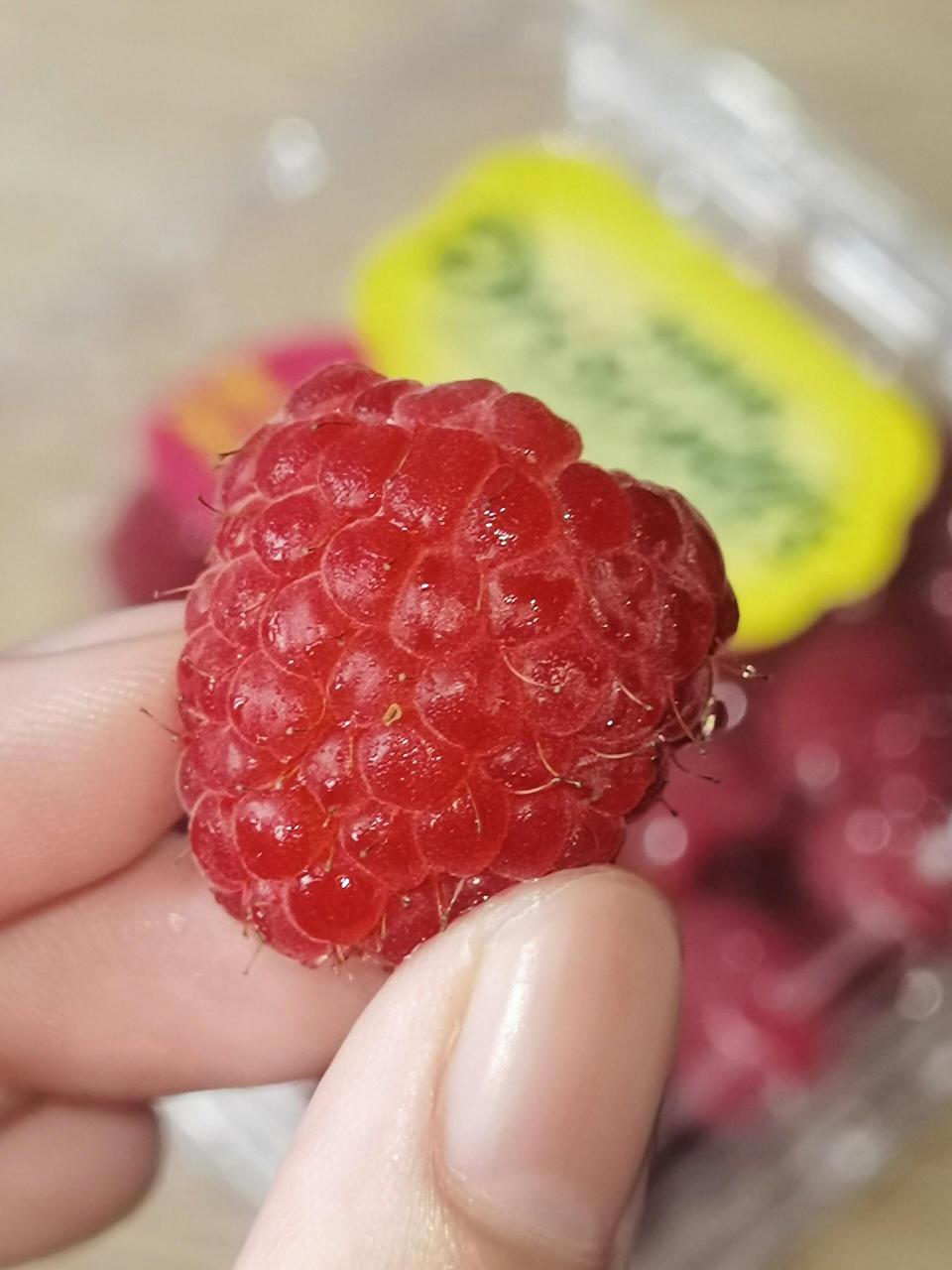 树莓,好歹毒的口感 一进嘴像是在舔毛毡布 咬两下之后一股既不酸溜溜