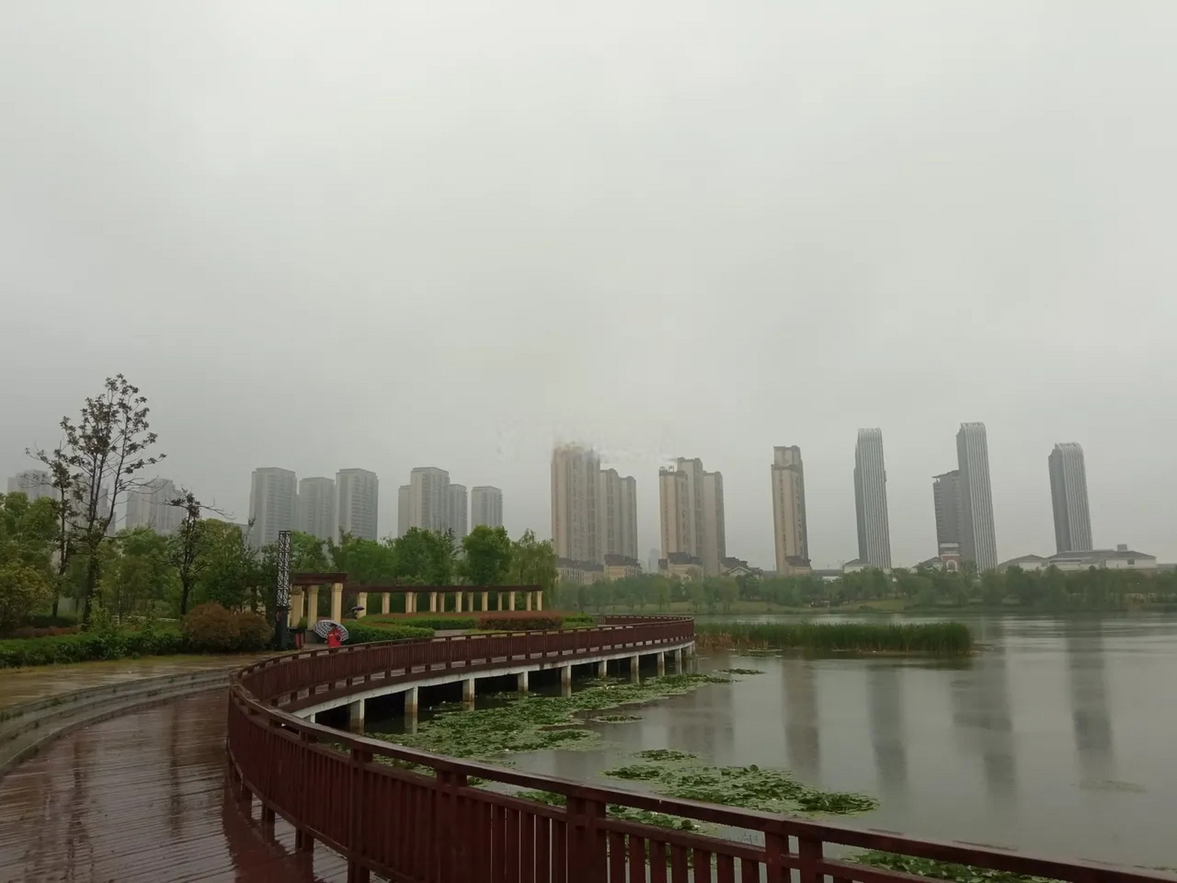 肥西桃花潭公園雨中景色