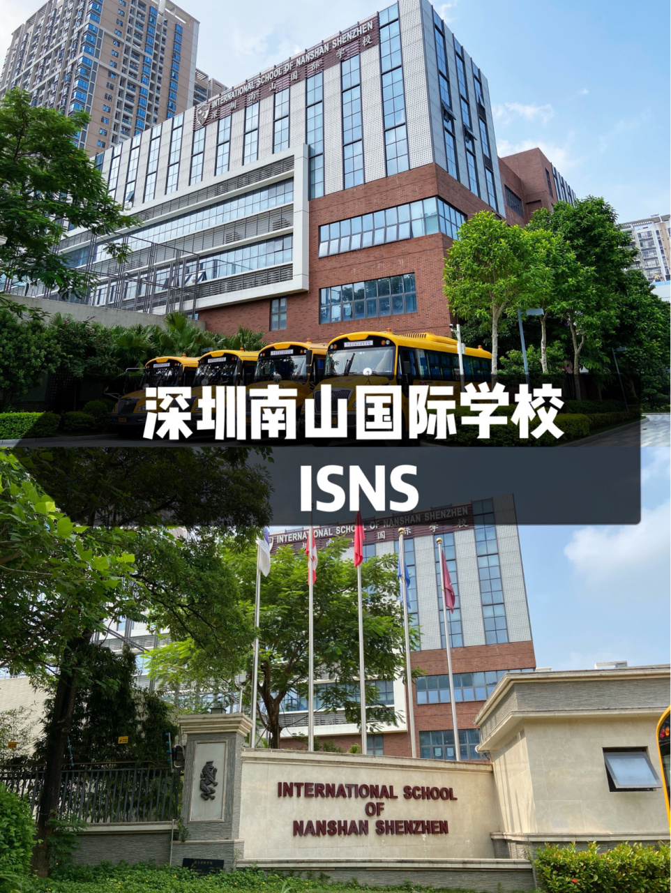 孩子从2020年9月入读南山国际学校isns已经快一年了.