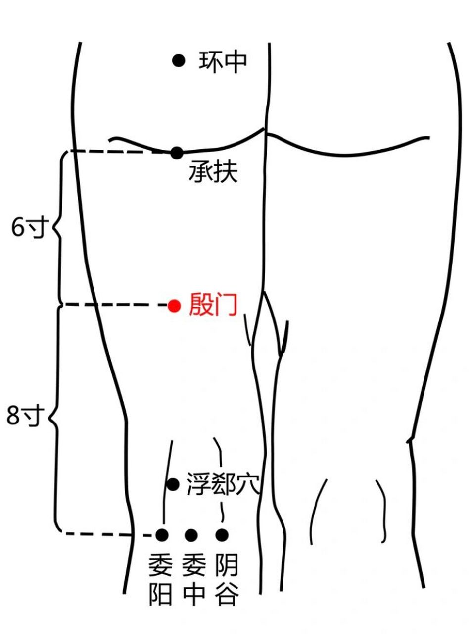 每日一穴～殷门穴:燥湿生气 殷门为经穴名.出《针灸甲乙经.