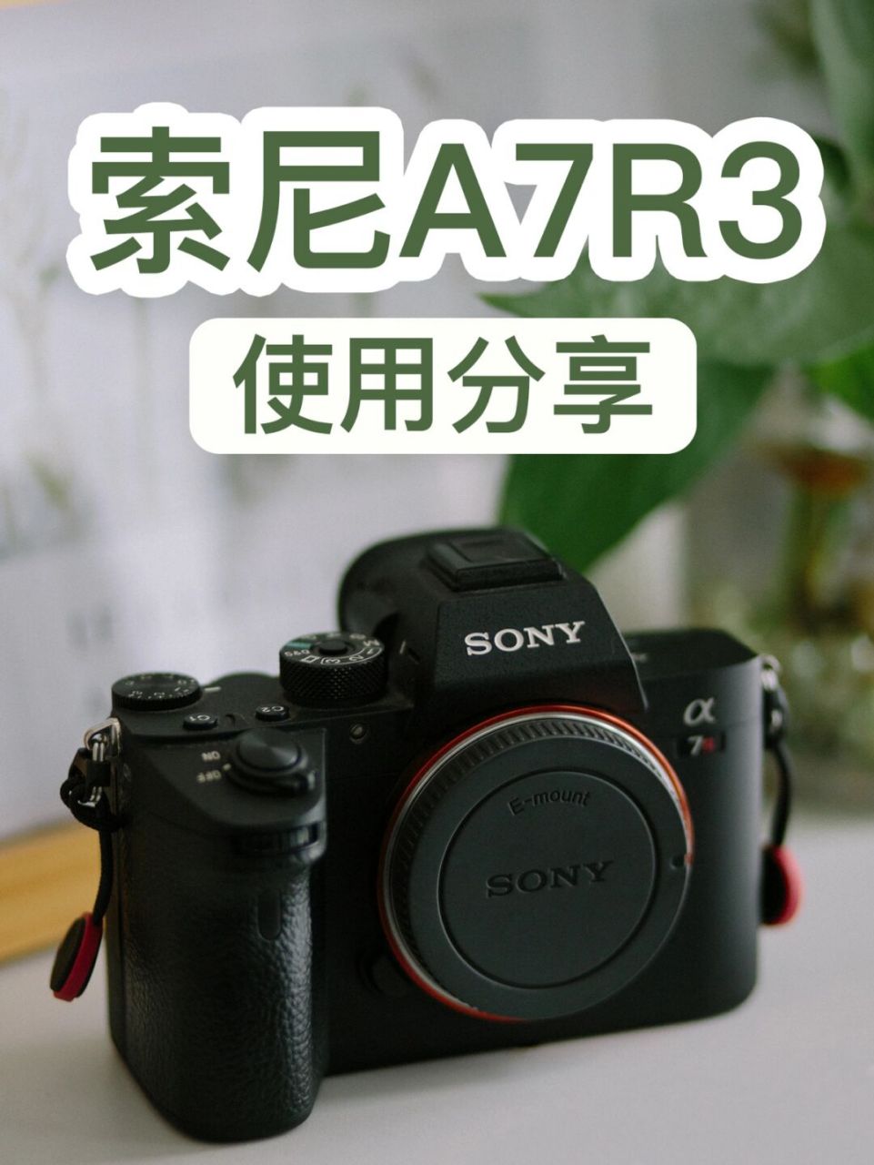 自用相机推荐|索尼a7r3的使用感受 一直使用6年佳能6d,快门已经突破30