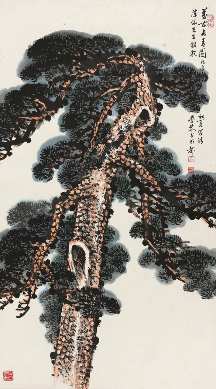 画家岑学恭笔下的青松