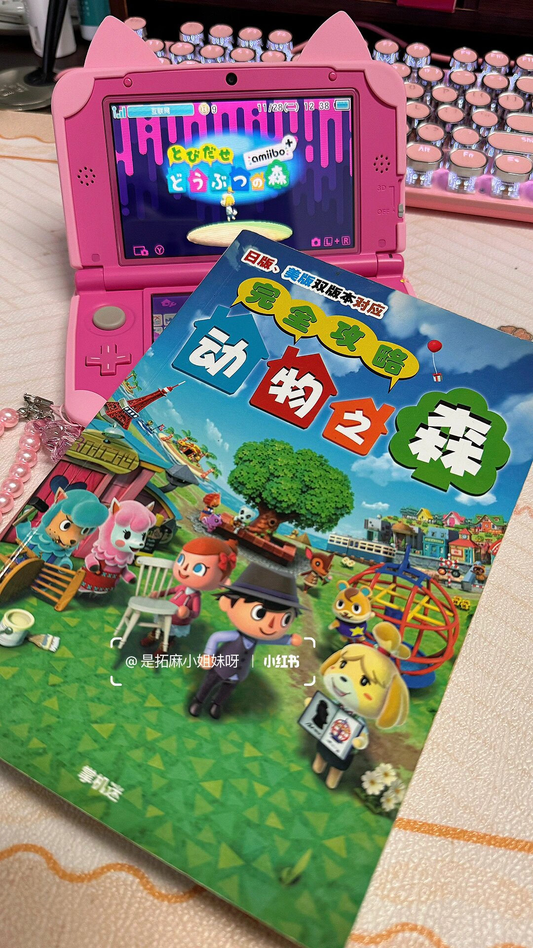 3ds动物之森中文攻略 还是忍不住入手了.贵,真的挺贵的.