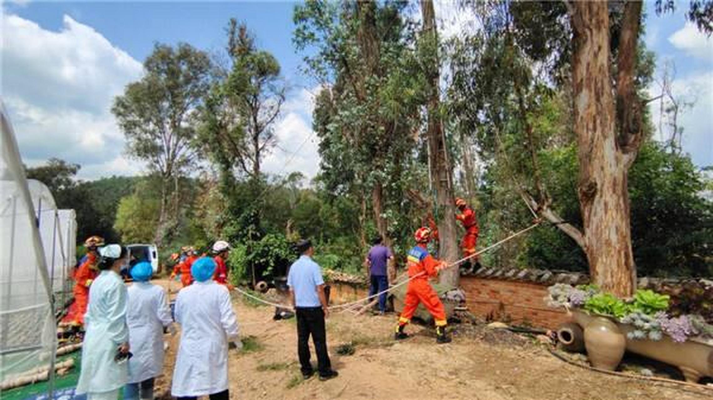 被卡树杈间意识不清……】近日,玉溪市江川区九溪镇喜乐庄村黄谷田