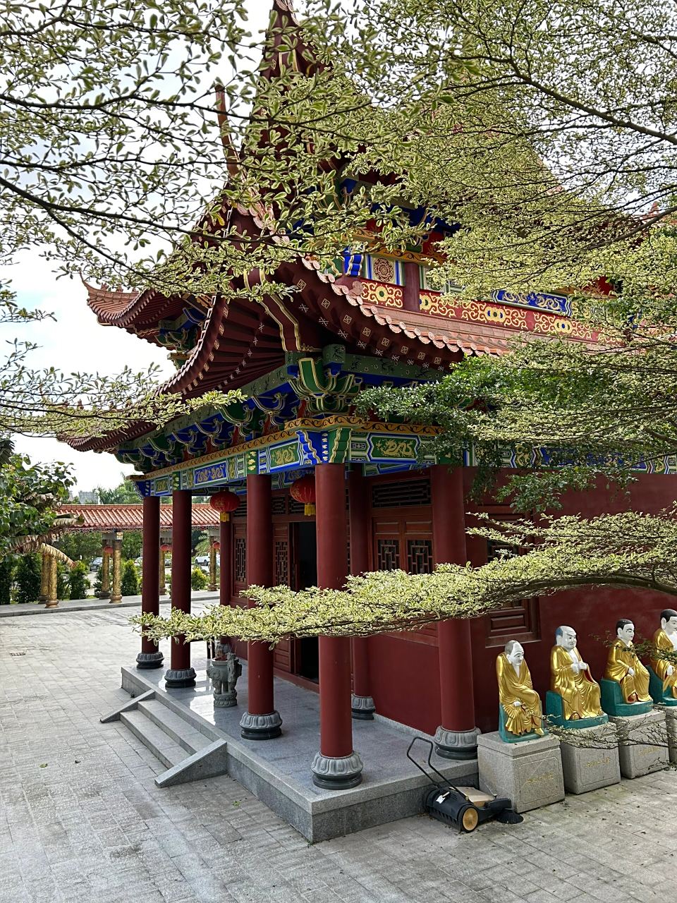 跟着小红书打卡~普宁龙华寺 搜附近有什么适合附近闲逛的地方小94