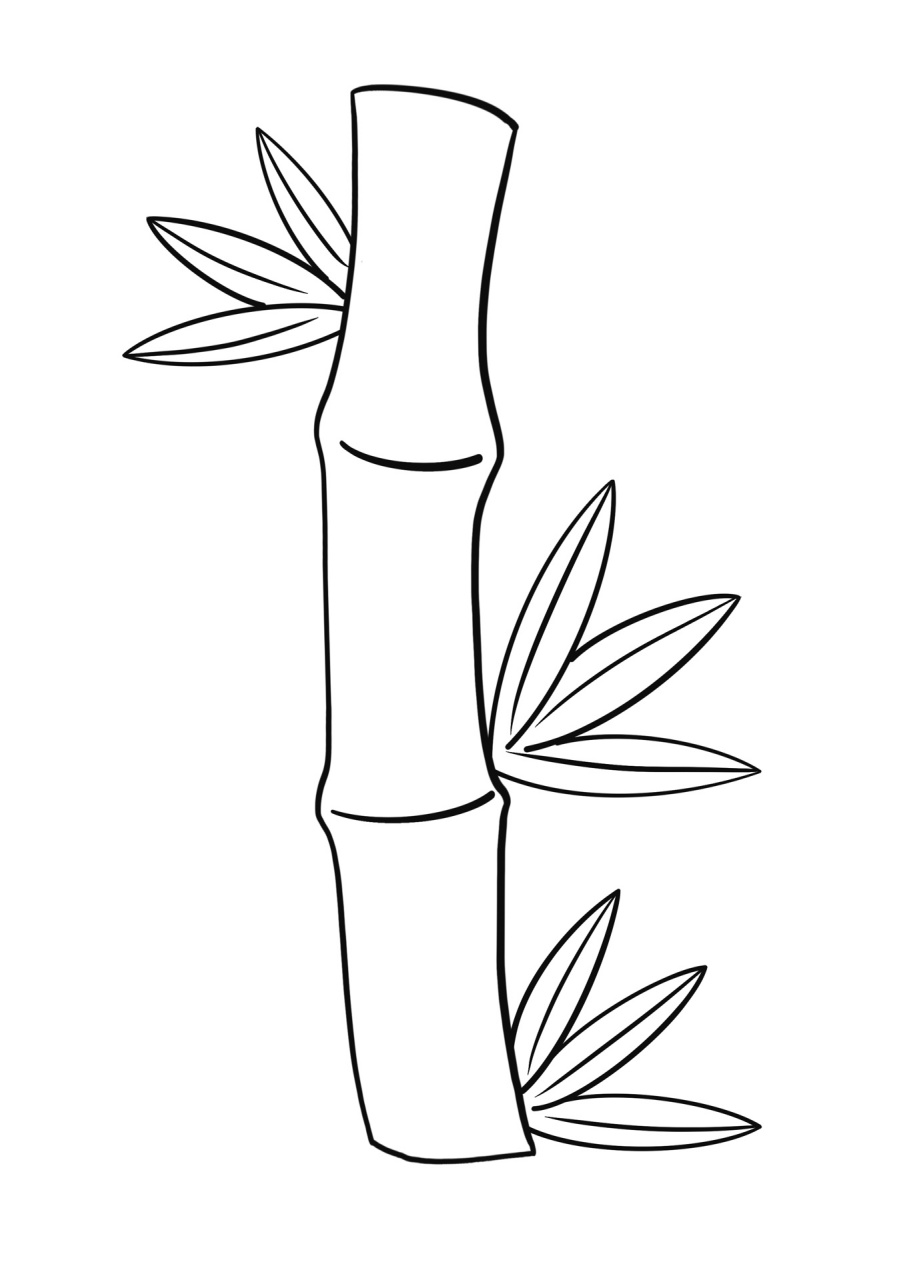 简笔画教程分享 竹子