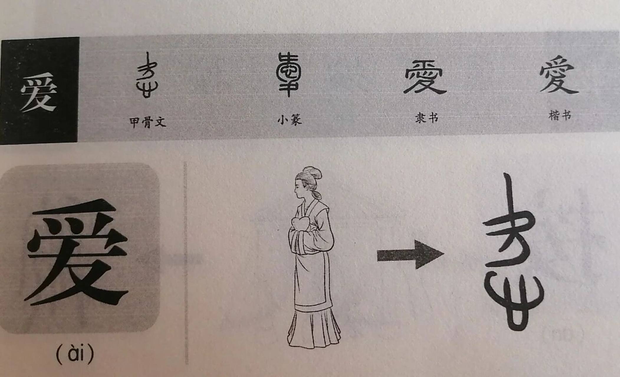 《说文解字》"爱"是个象形字  其甲骨文字形就像一个双手捧着心的人,"