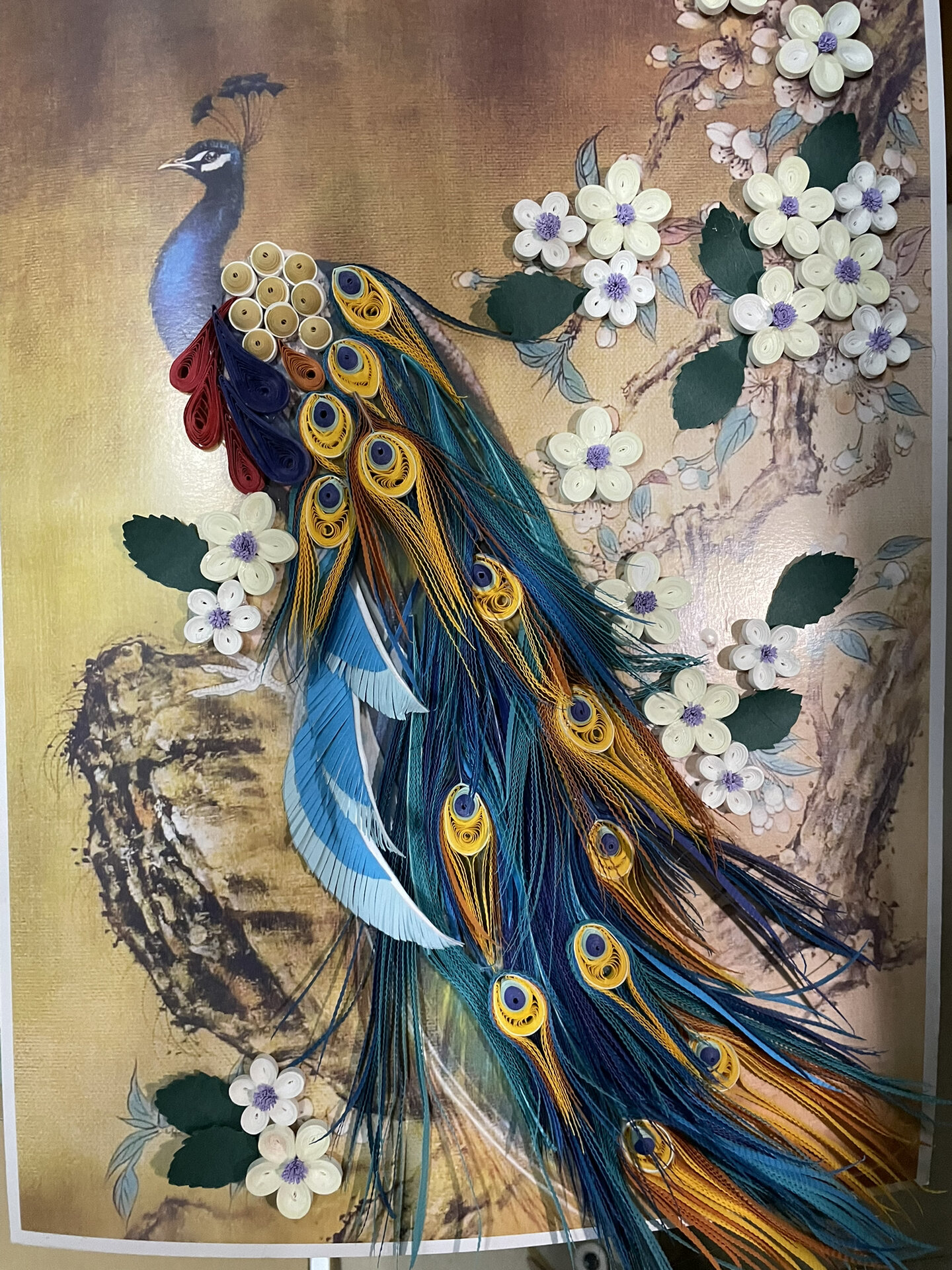 中国风衍纸 孔雀