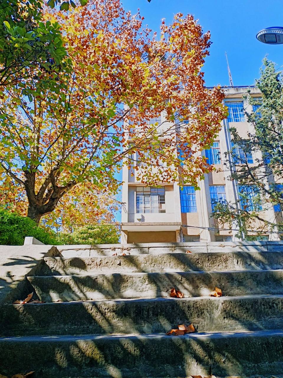 欢迎报考楚雄师范学院!