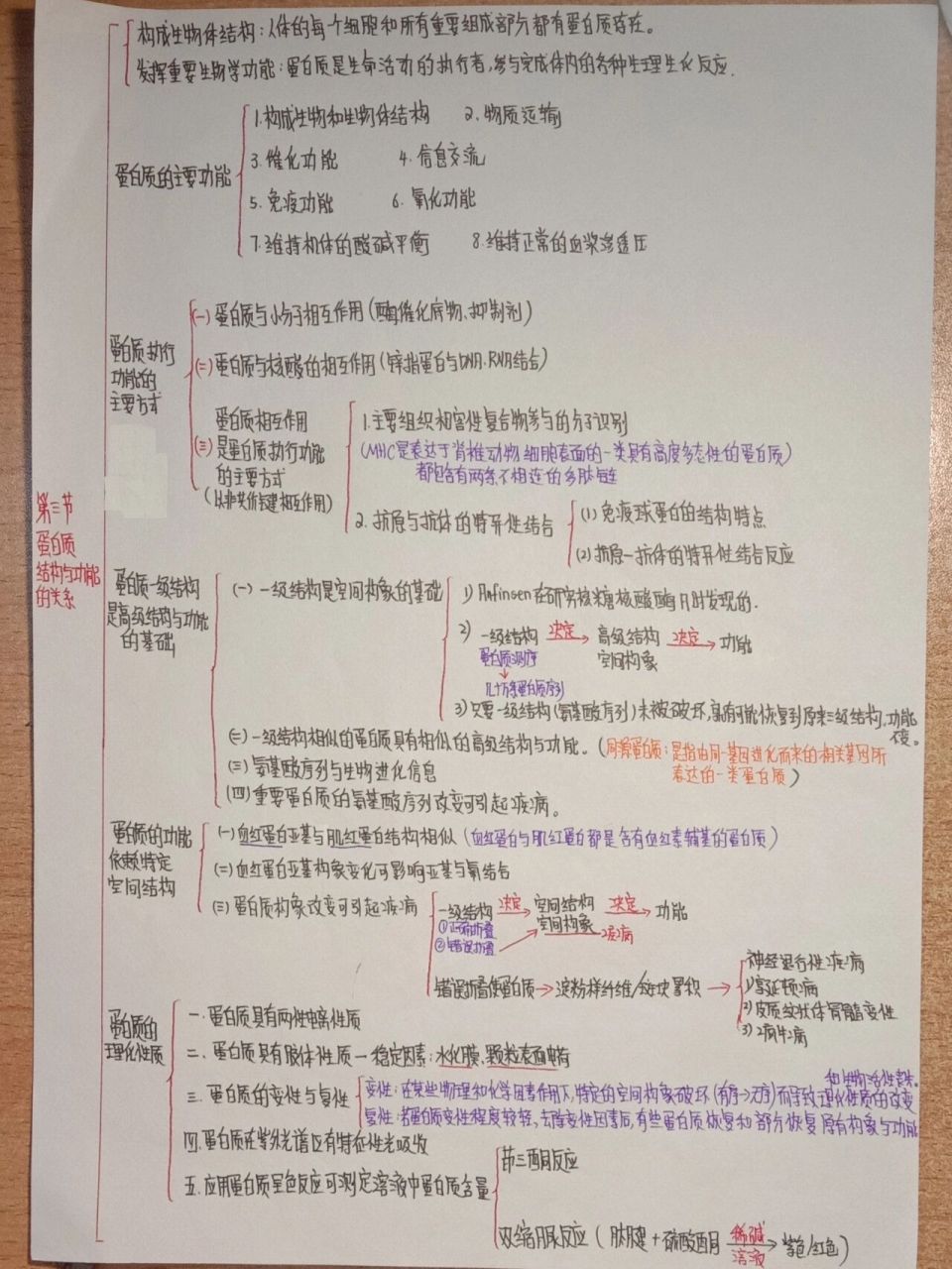 生化思维导图(第一章蛋白质的结构与功能)