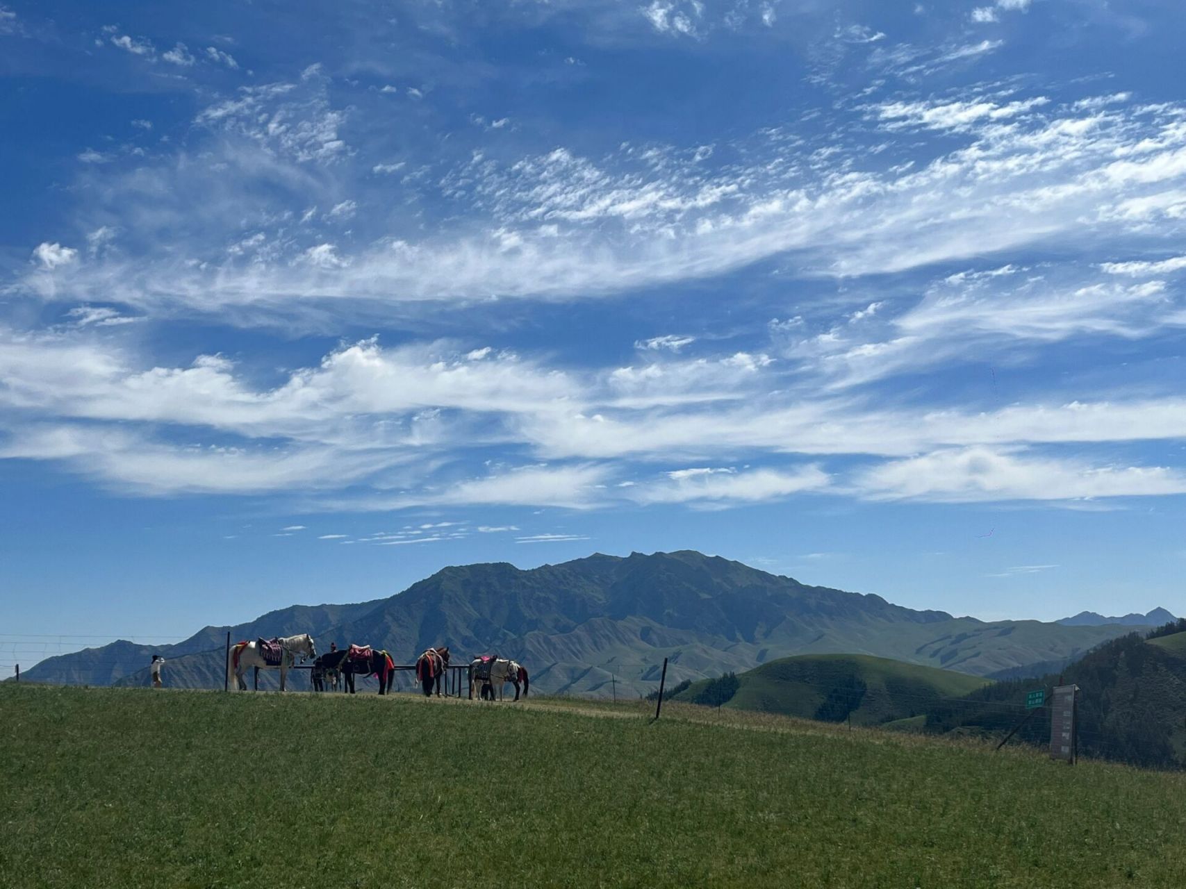 张掖之【康乐草原】 康乐草原是【个人】喜好第二的.