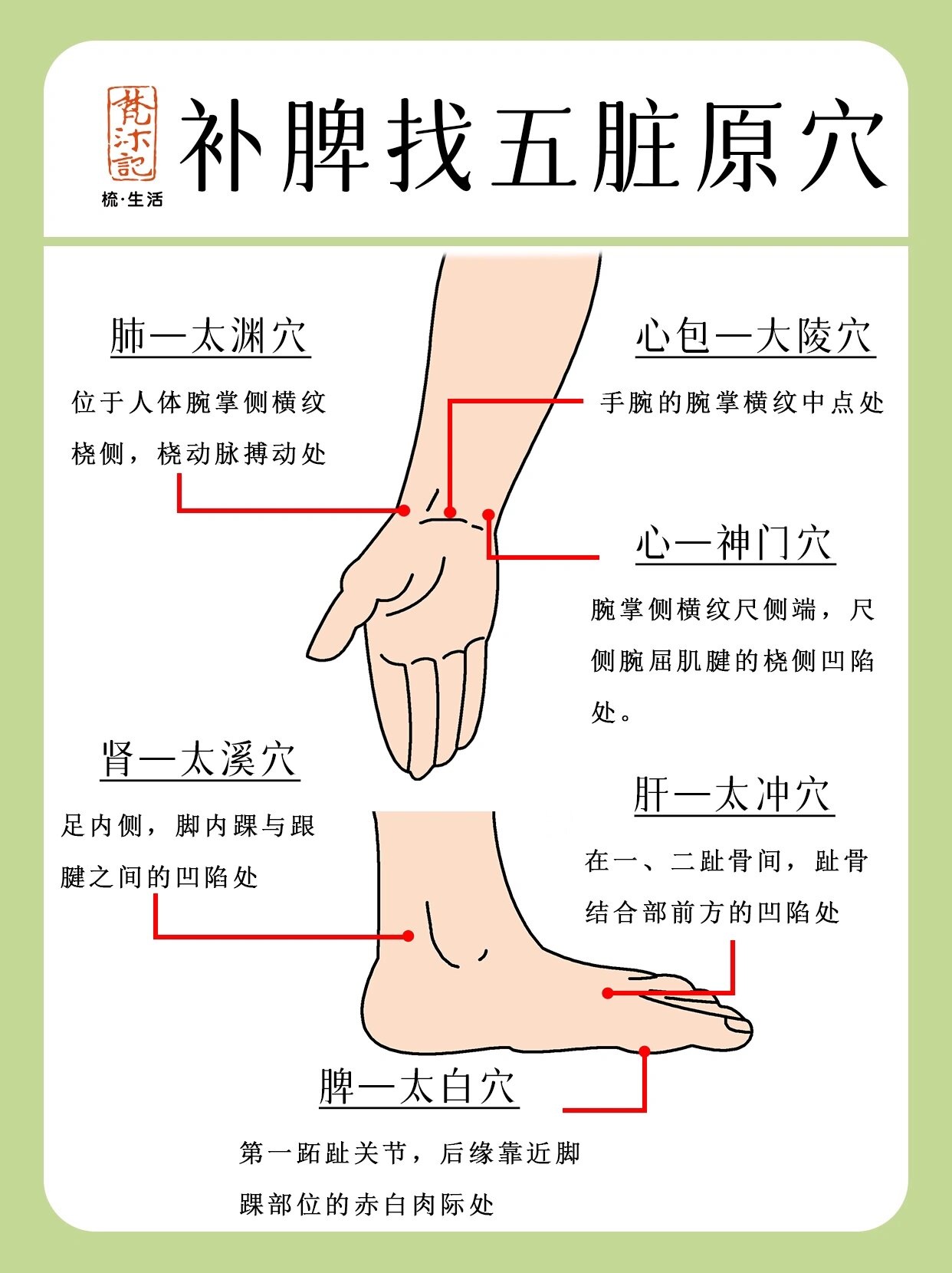 补脾推拿准确位置图图片