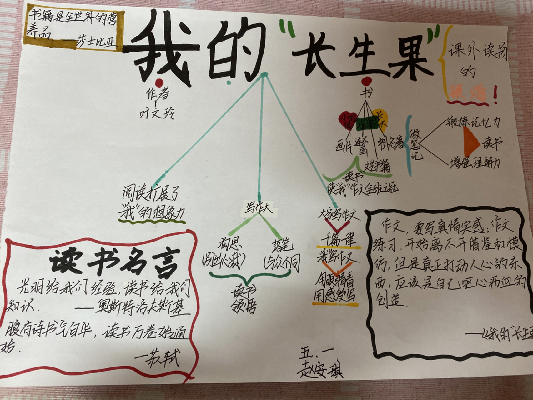 27我的长生果思维导图图片