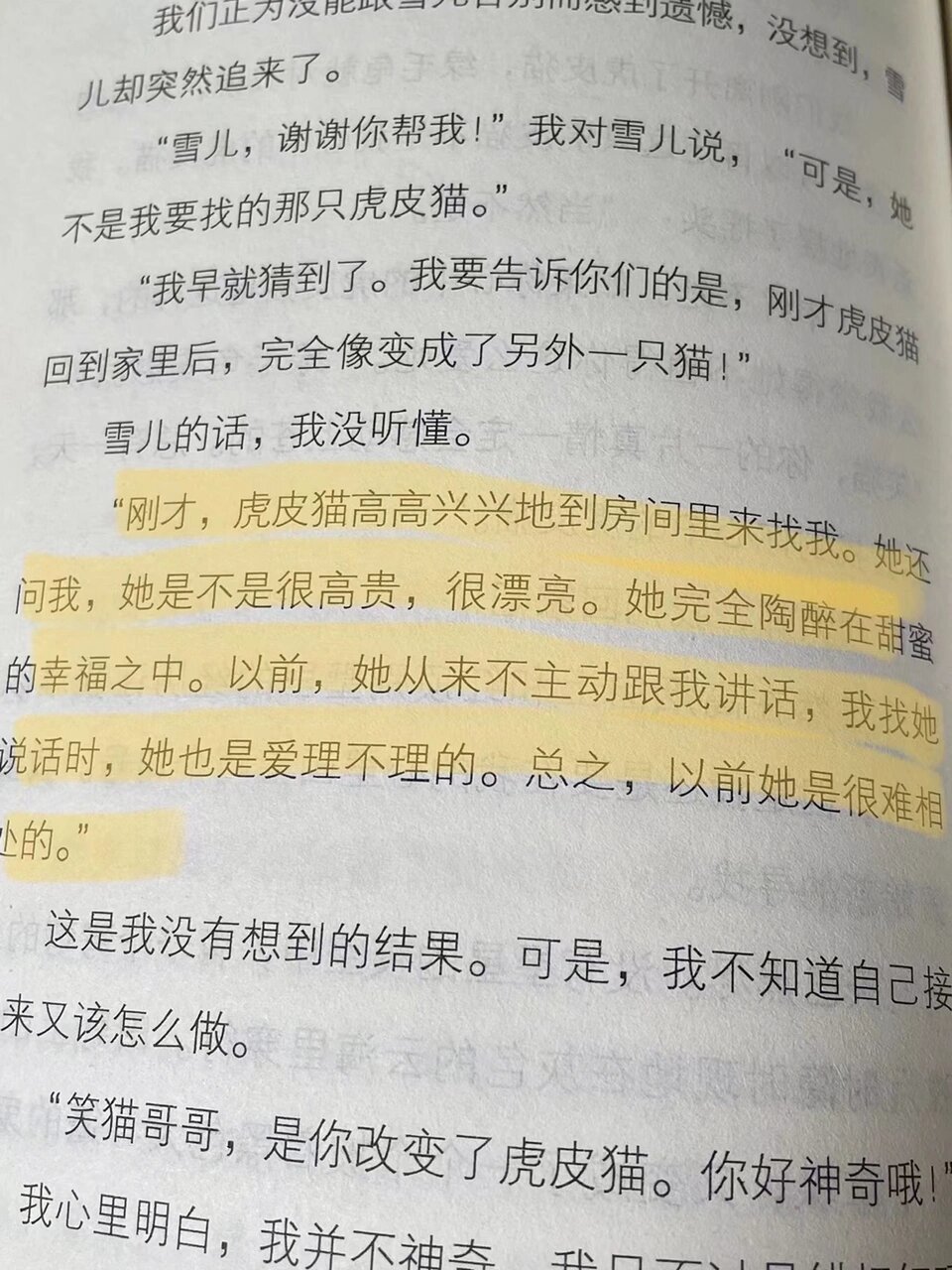 笑猫日记虎皮猫生孩子图片