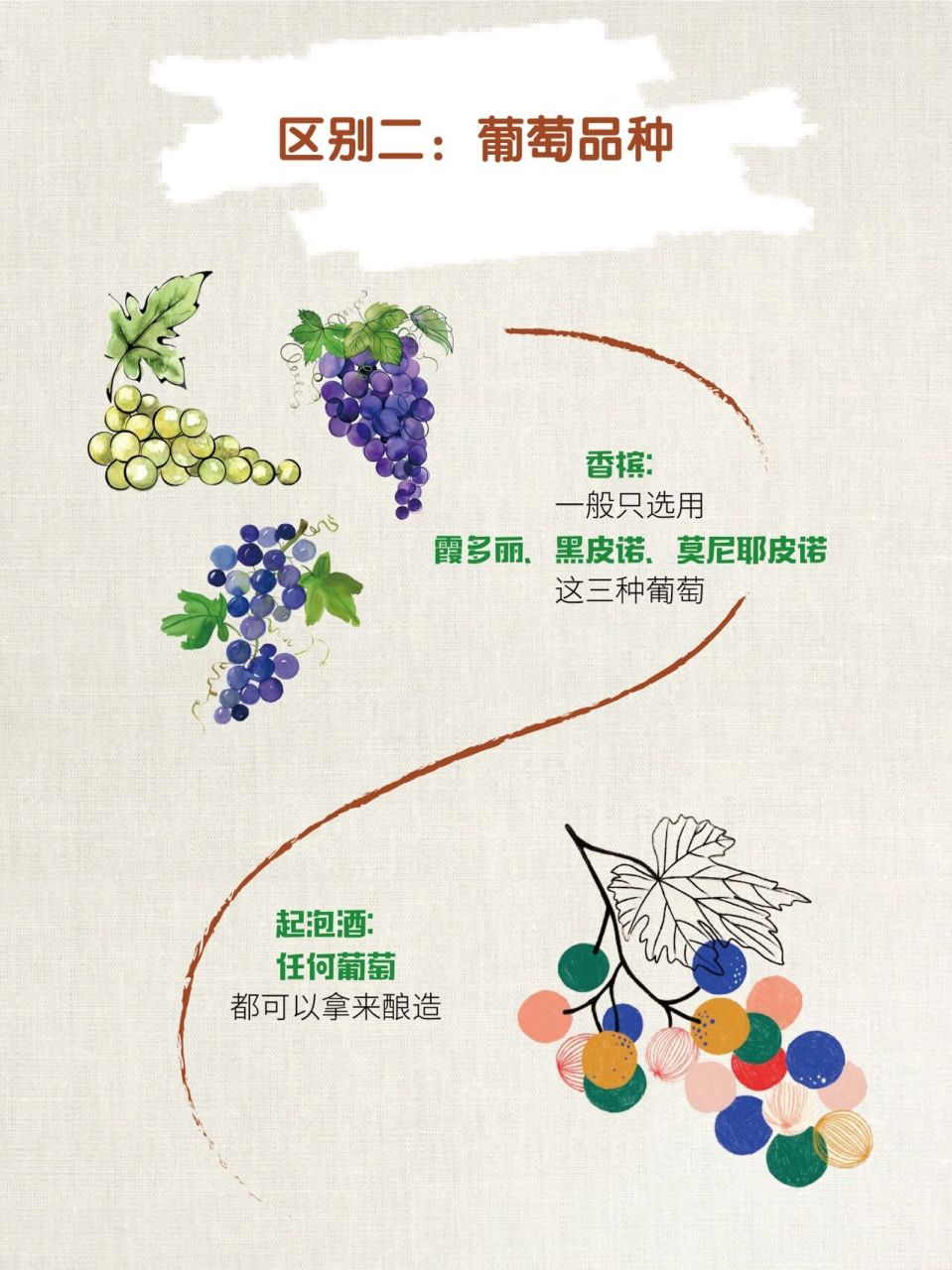 986993一分钟搞懂|香槟与起泡酒的区别94 0169♂15香槟