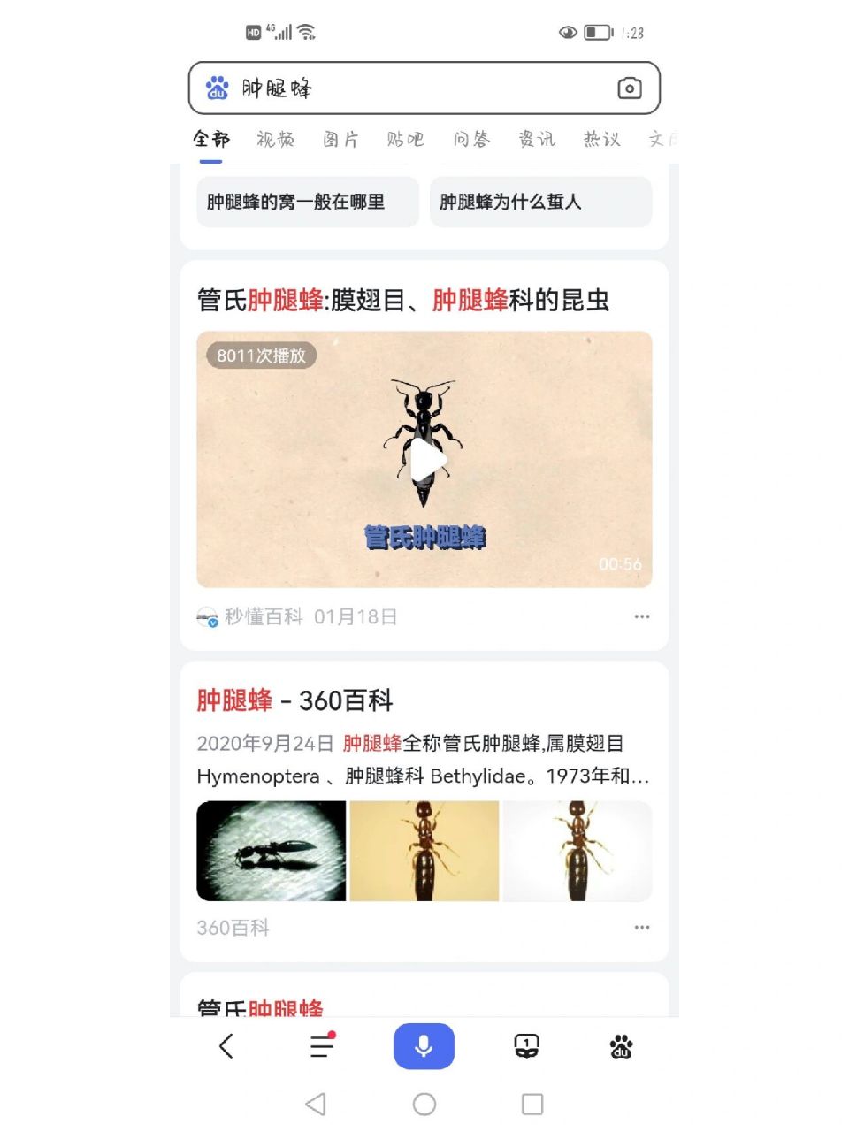 最近床上有像蚂蚁一样的虫子咬 蒽顾名思义这个虫子叫(肿腿蜂) 长那么